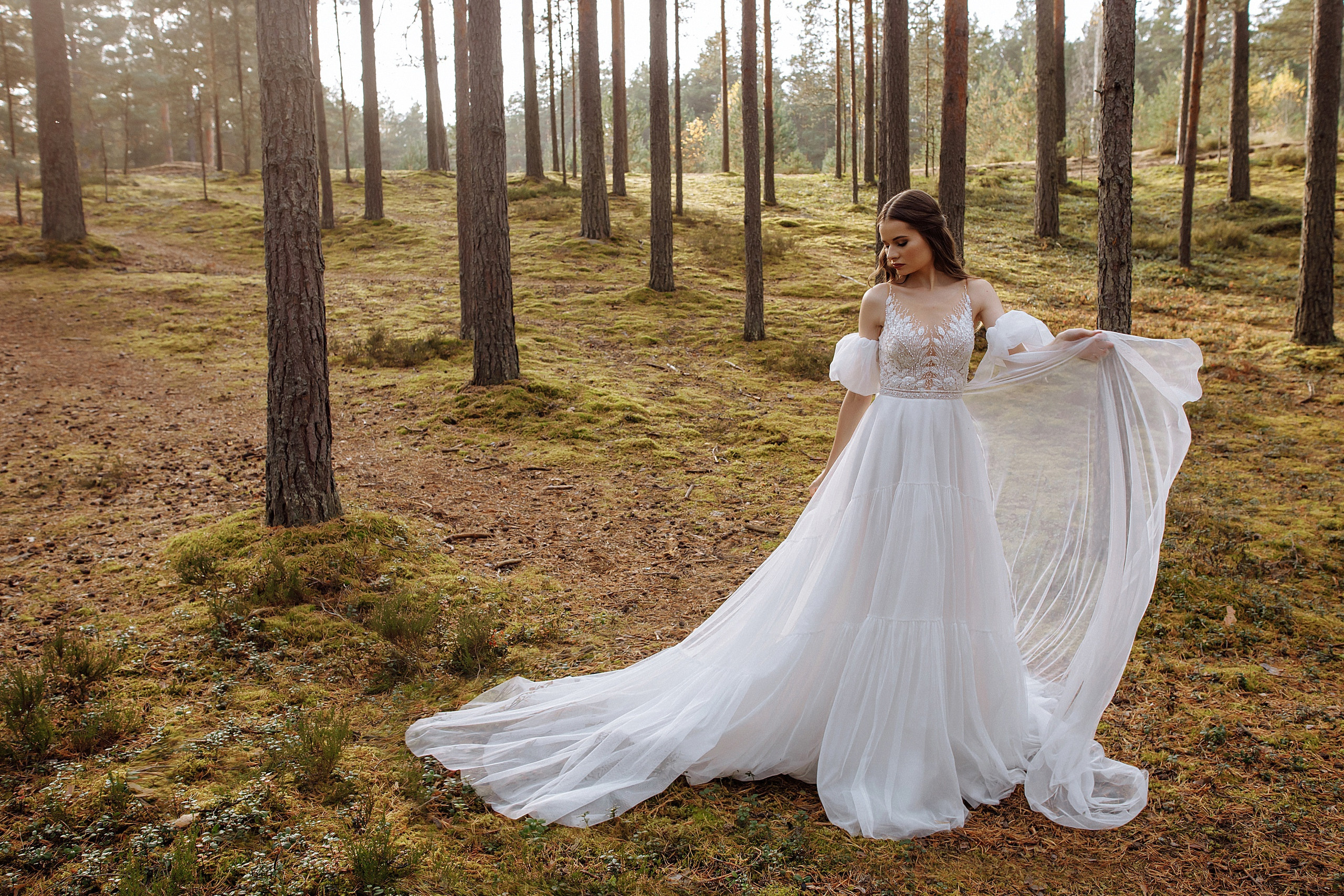 Дорога и лес в сторону Орши. Каплицкая Любовь — фотограф Тверь