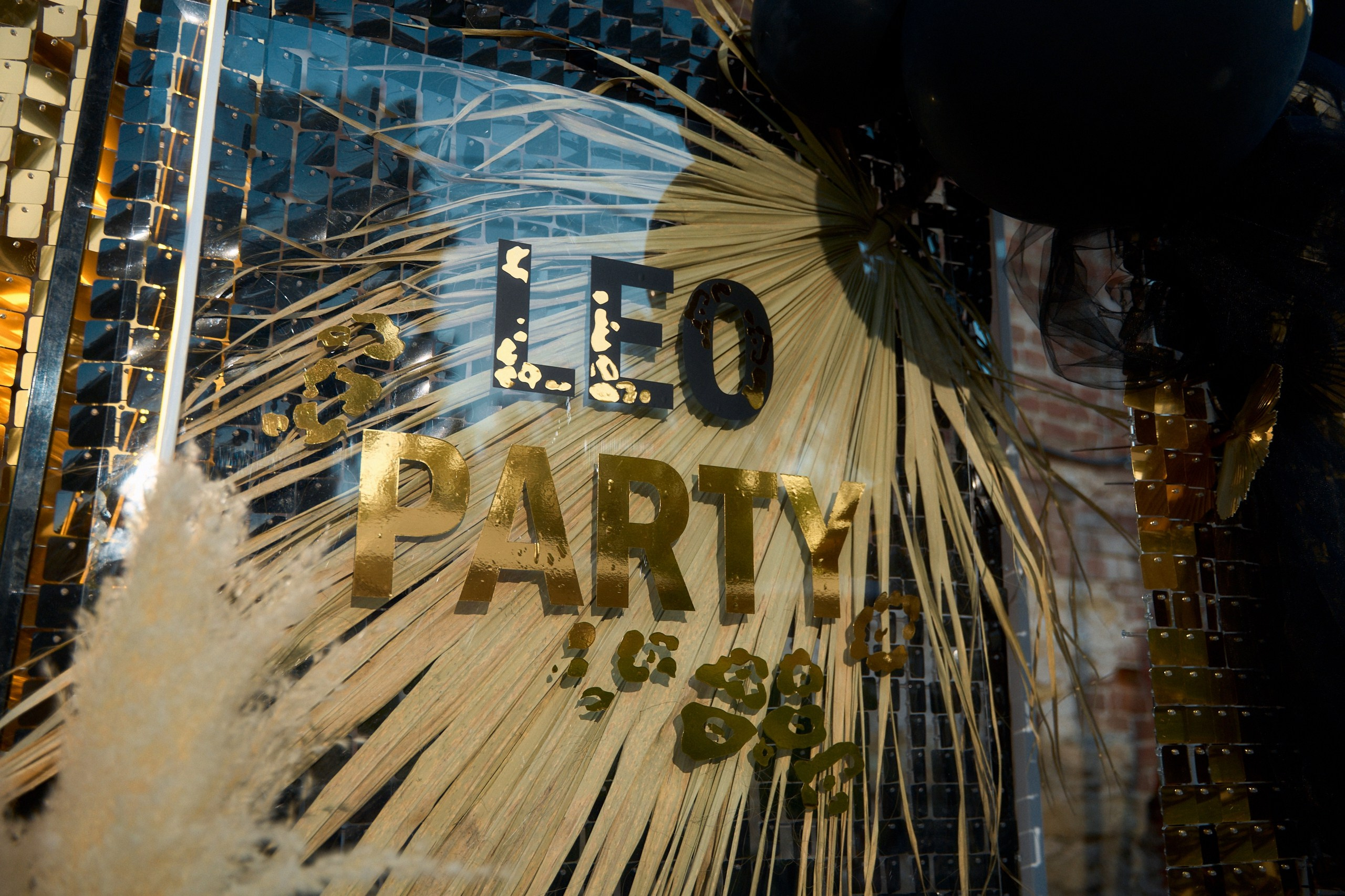 LEO party в Торжке. Павленко Дмитрий фотограф и видеограф в Торжке