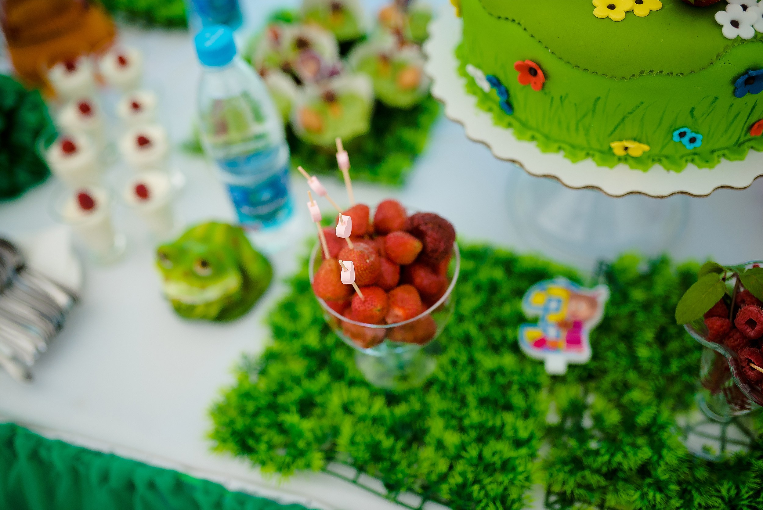 Мила День Рождения. Выпускные альбомы в Зеленограде и Москве