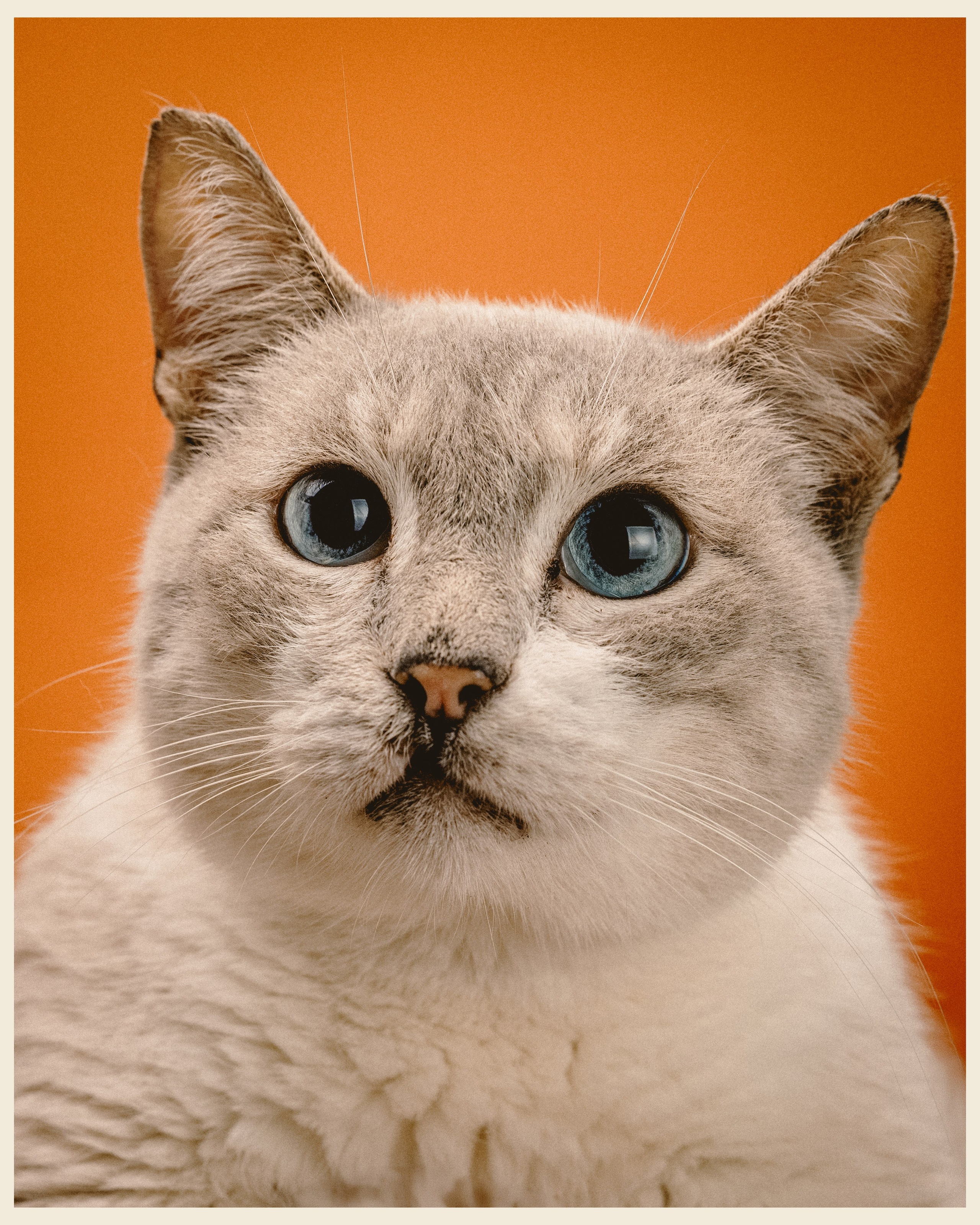 OM x VANO. Ivan Petrov photographer