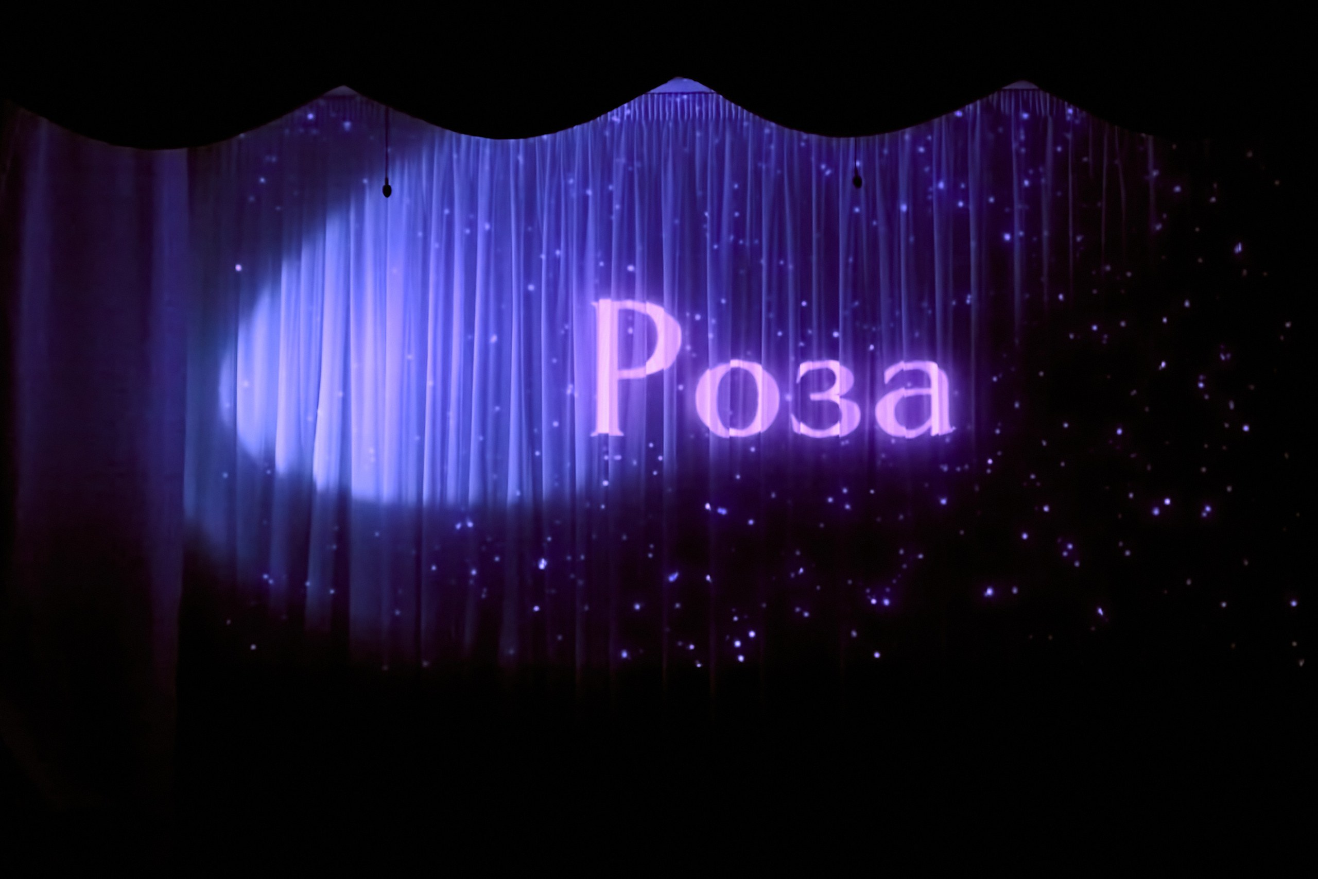 Фотографии с премьеры Маленький принц