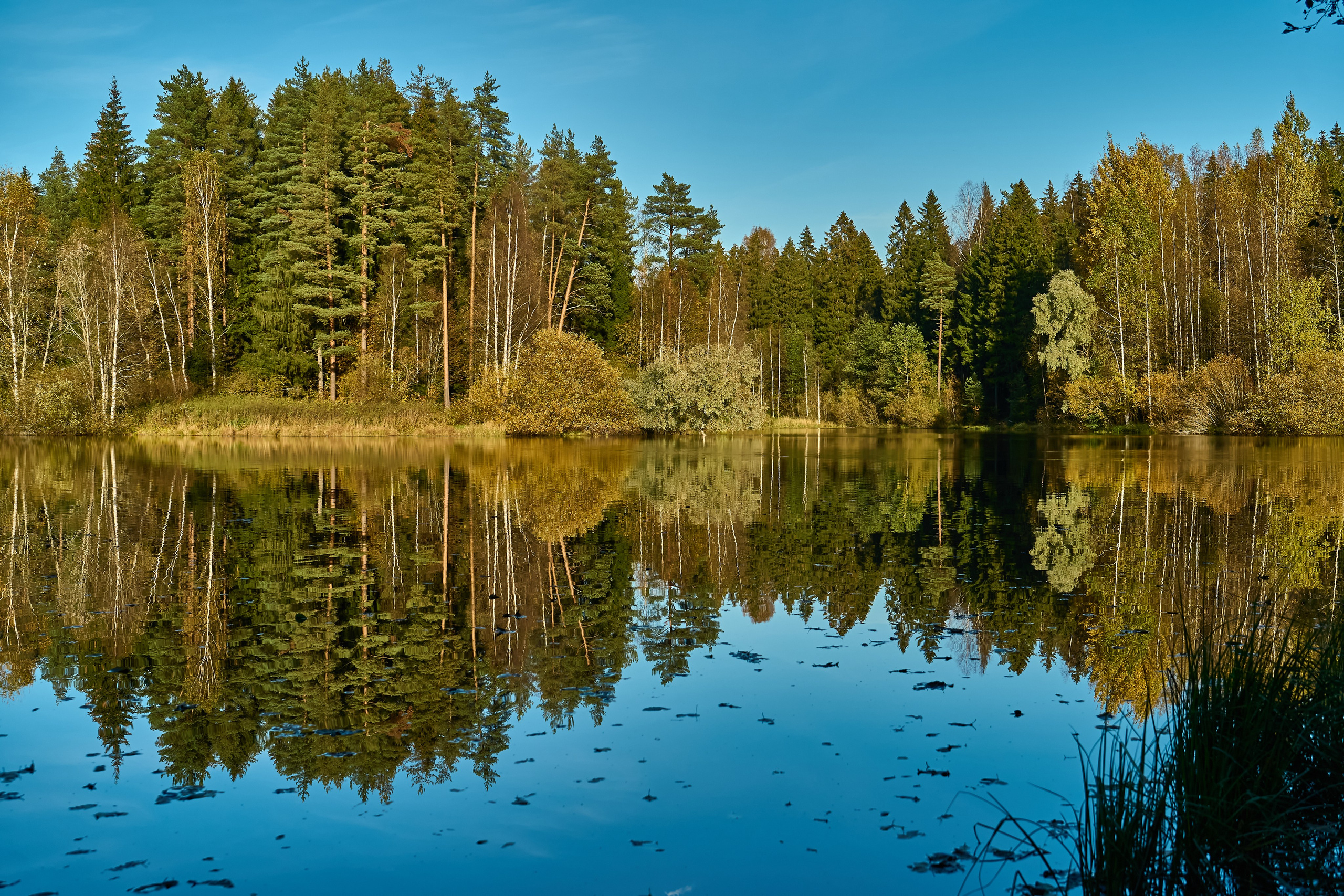 УЧАСТКИ. Интерьерный фотограф