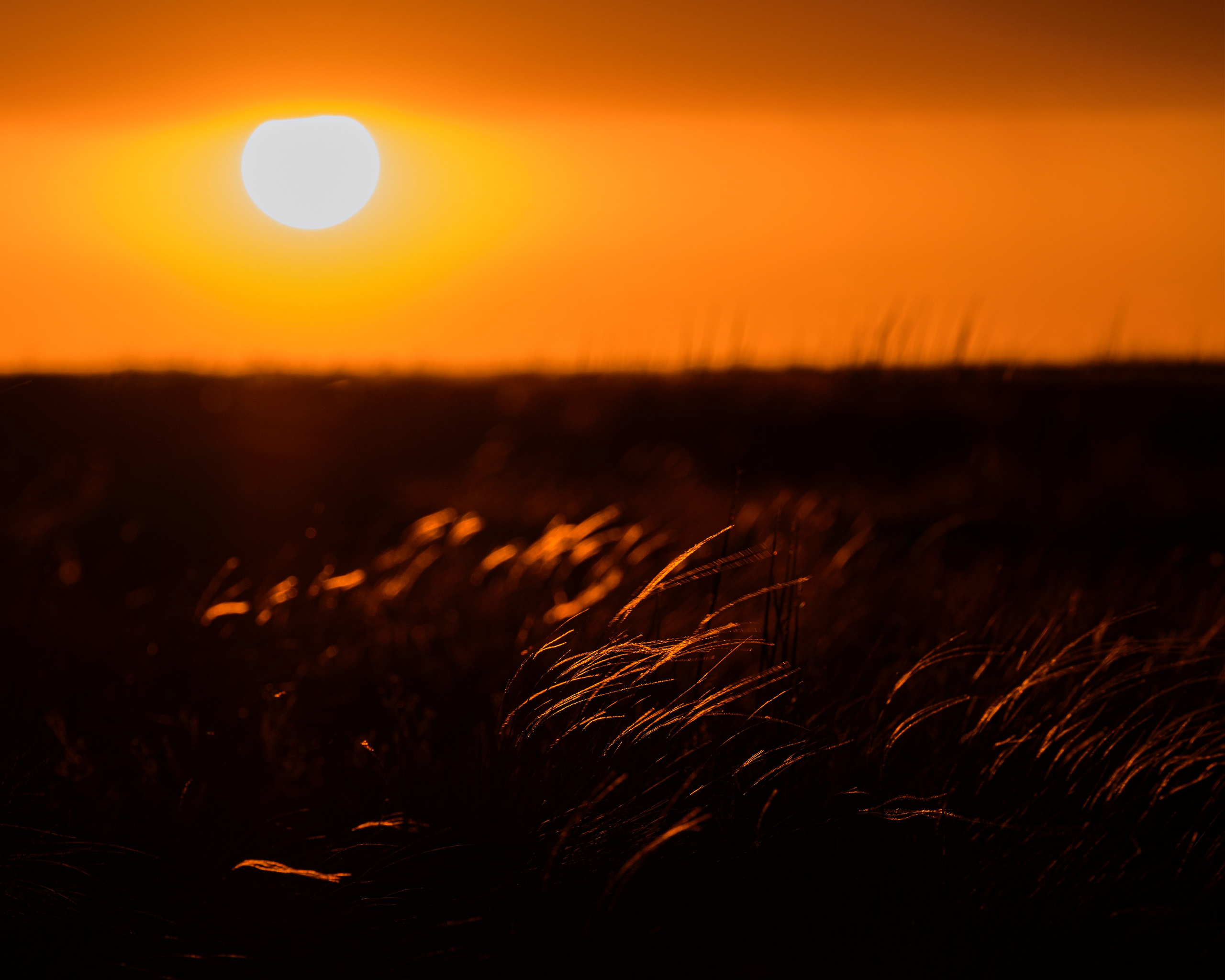 Оренбуржье. Портретный фотограф в Челябинске Катерина Руди