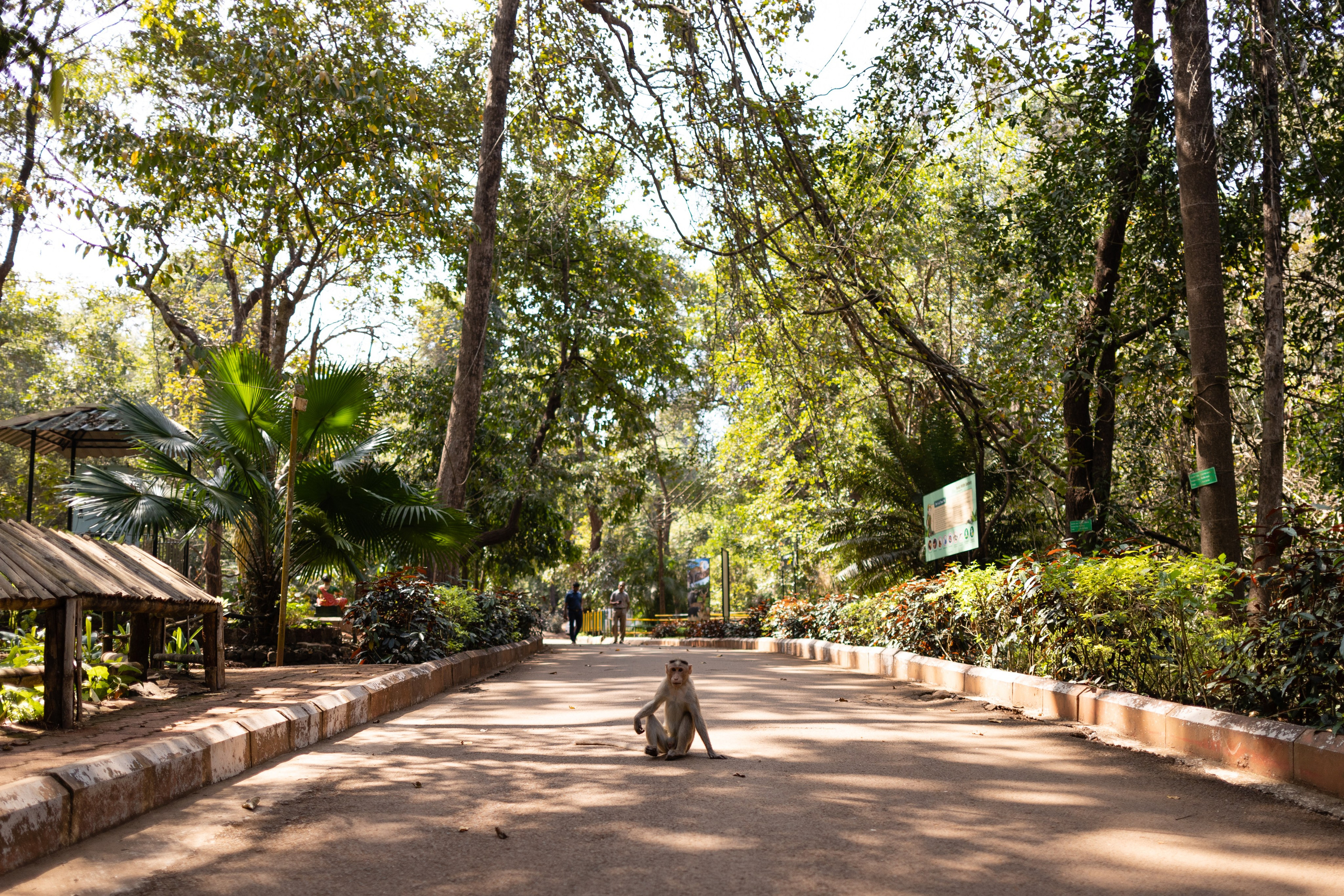 ГОА 2024. Руслан Плахтеев