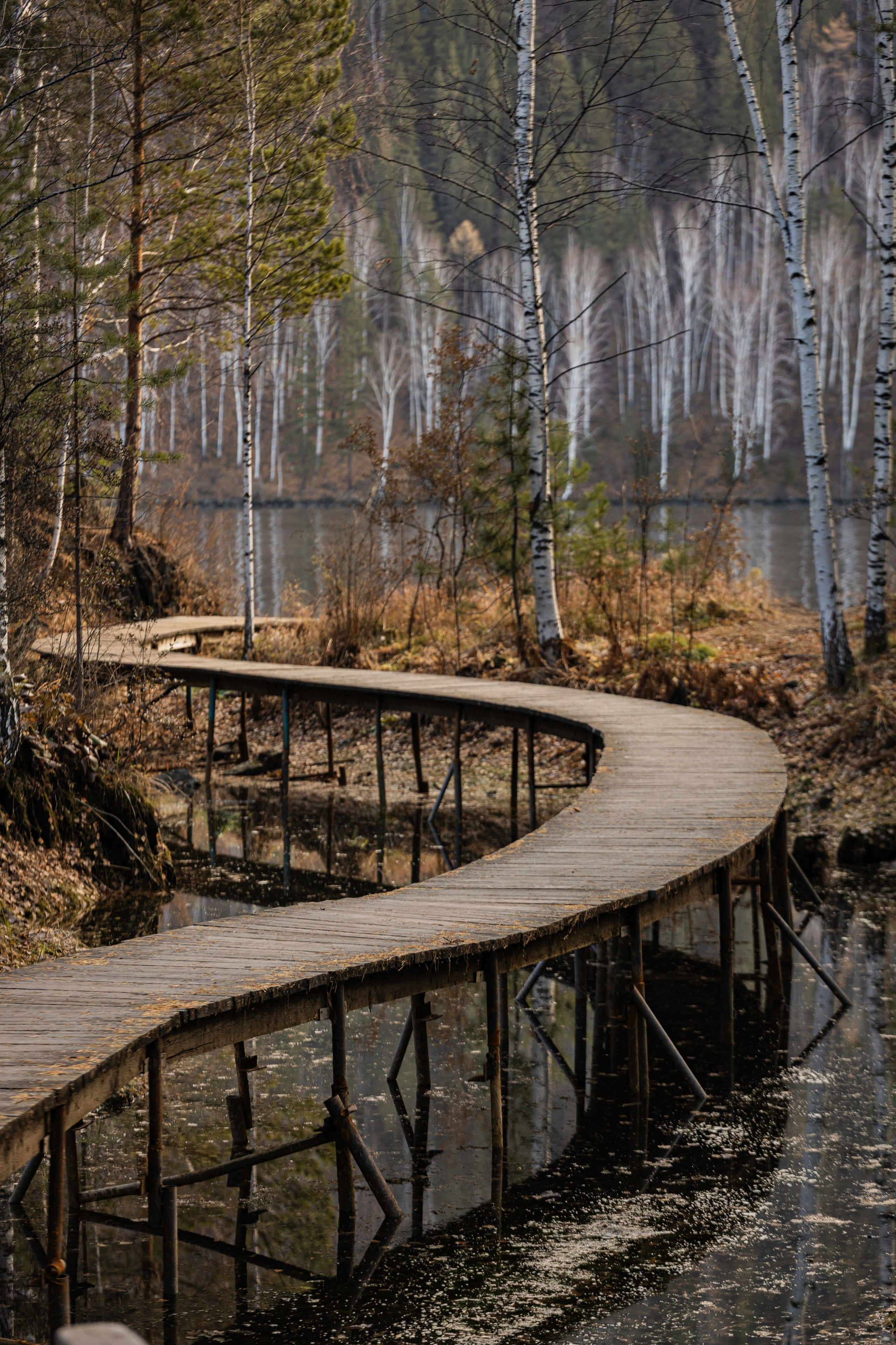 Ергаки (2022-23). Фотограф ваших событий в Красноярске — Макс Захарченко