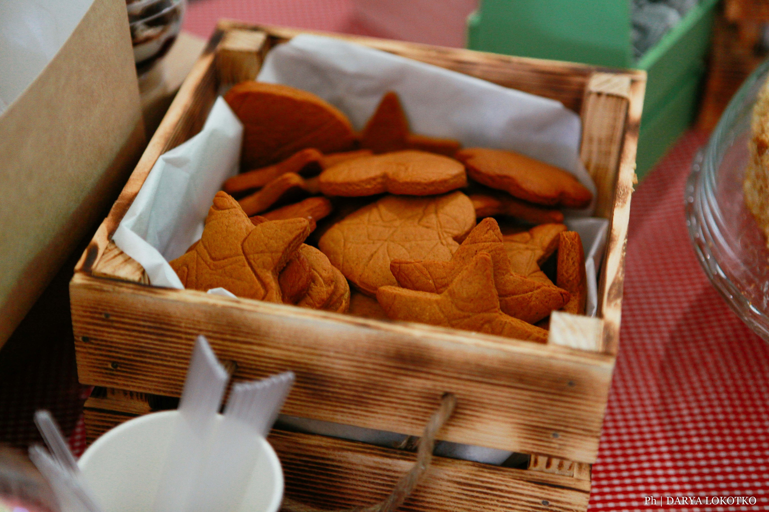 Каменка. Фотограф Дарья Локотко в Красноярске