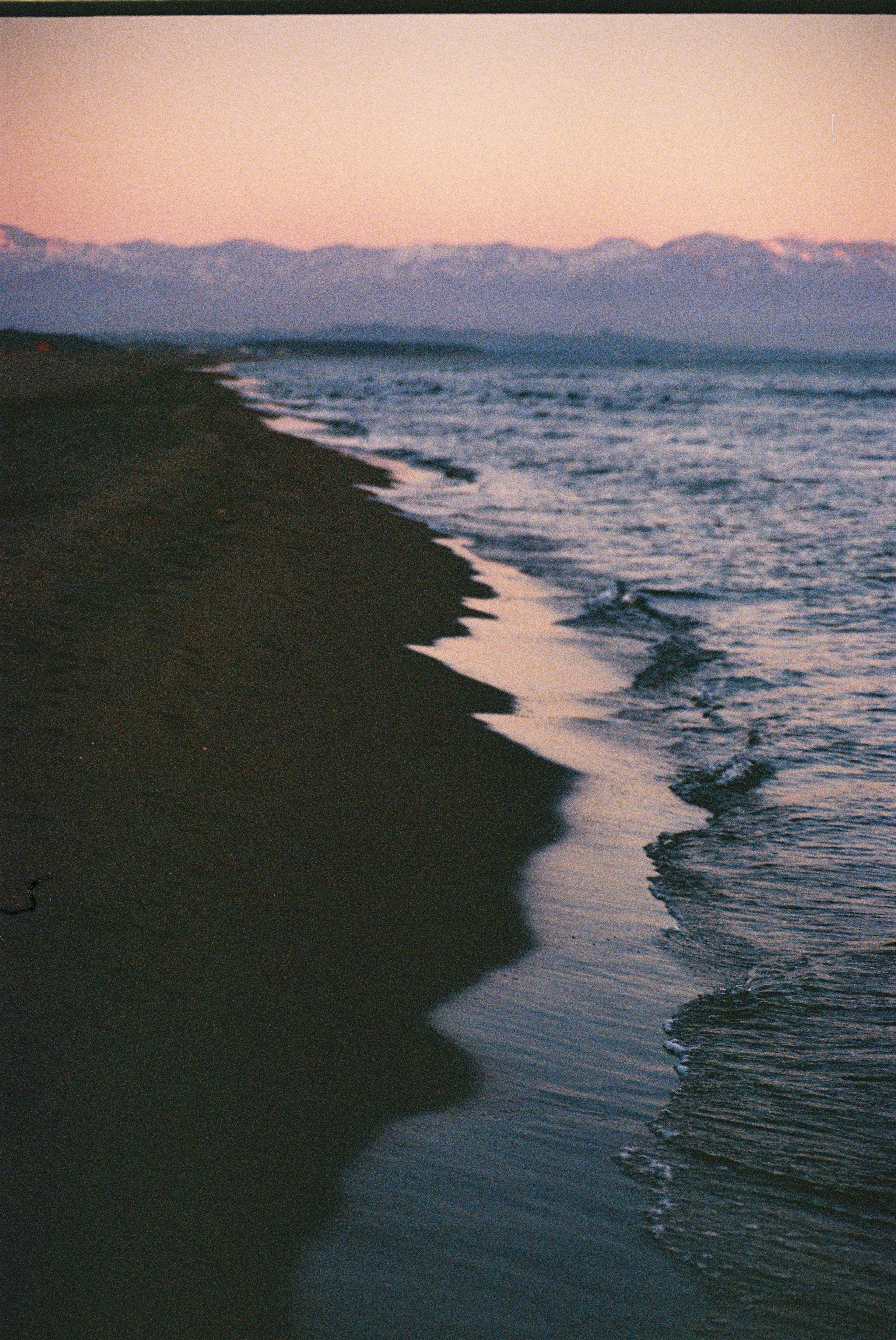 ON THE GO. Сocoobird || Атмосфера твоего бренда в снимках и видео