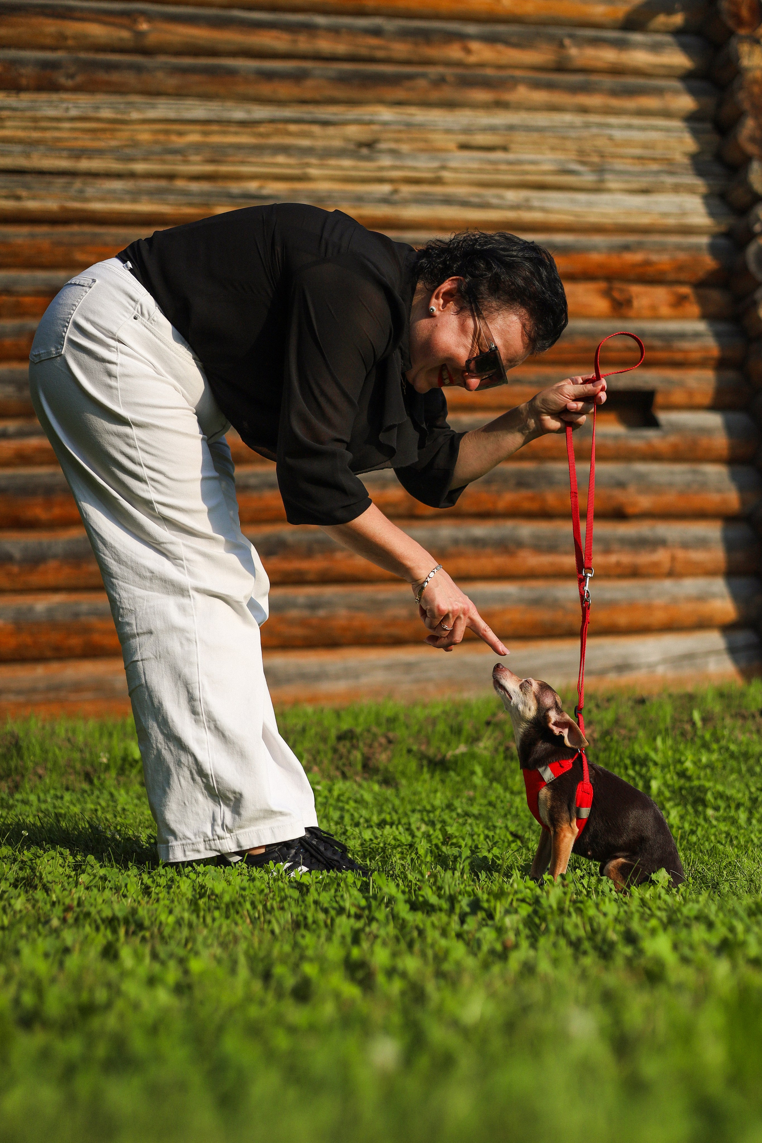 Белла и Марина. Фотограф-анималист Ксения Шевцова|Москва
