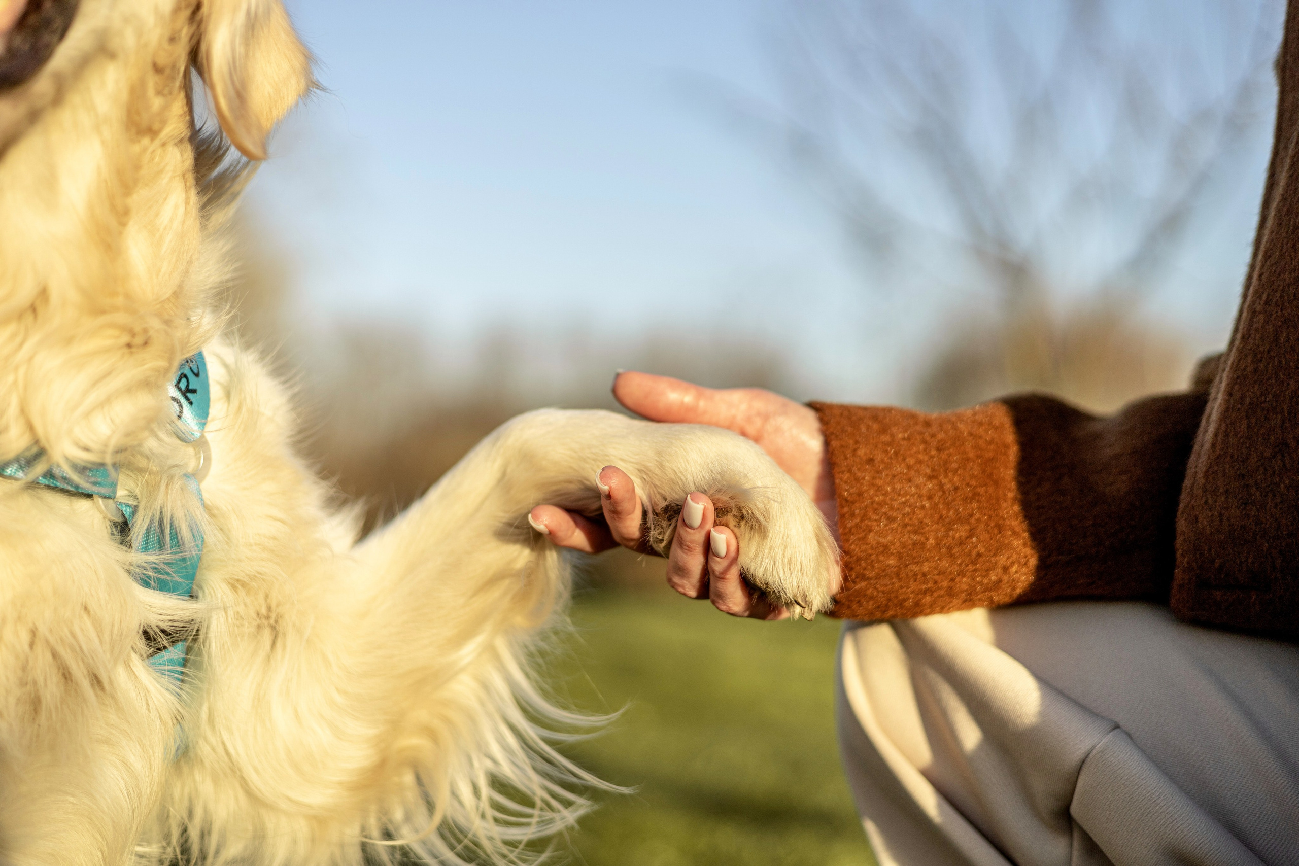 Зиз и Юля. Часть 2. Фотограф-анималист Ксения Шевцова|Москва