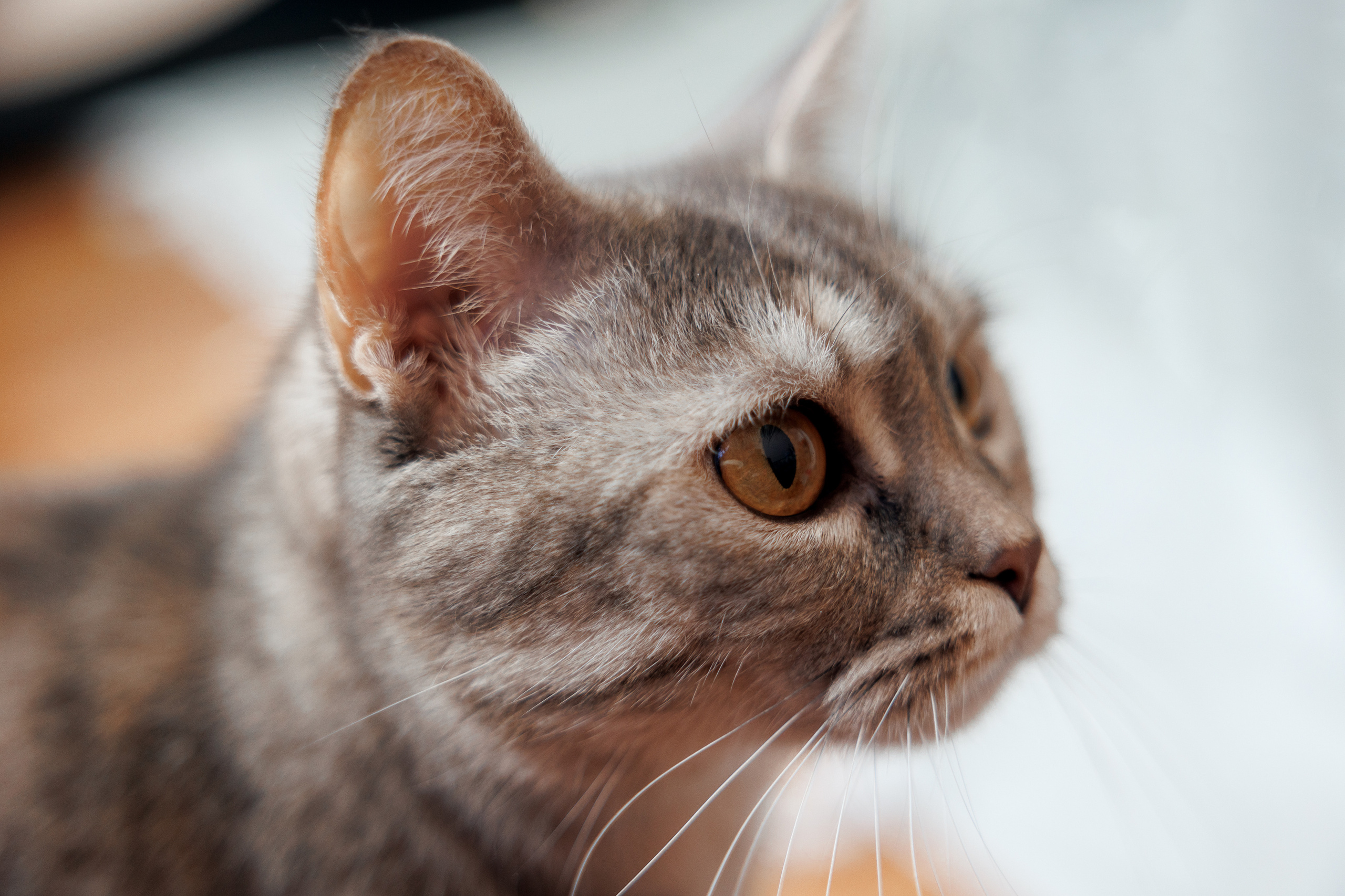 Контент съемка для Оксаны. Фотограф Тимофеева Валентина