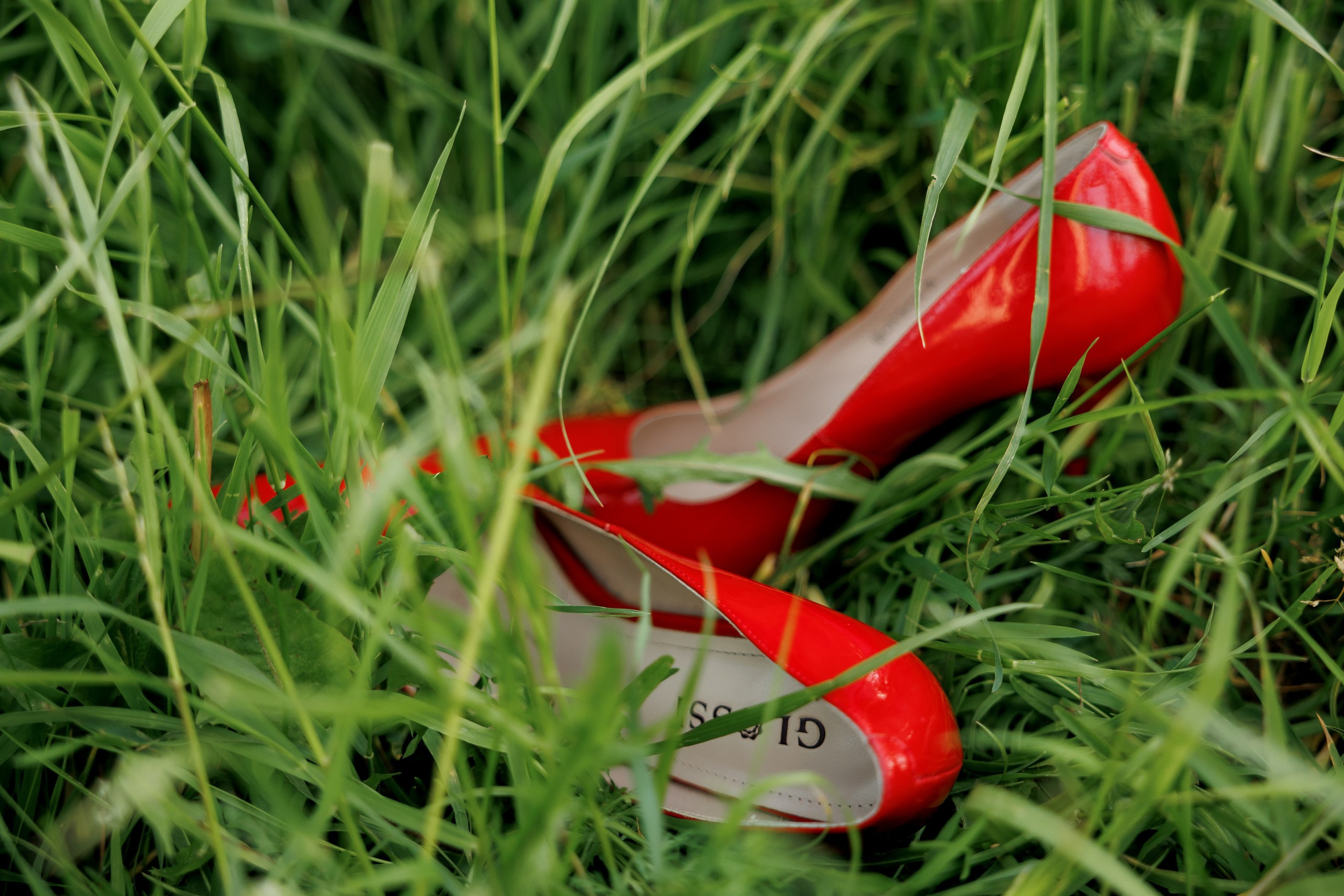 Красный — цвет страсти. Фотограф Тимофеева Валентина