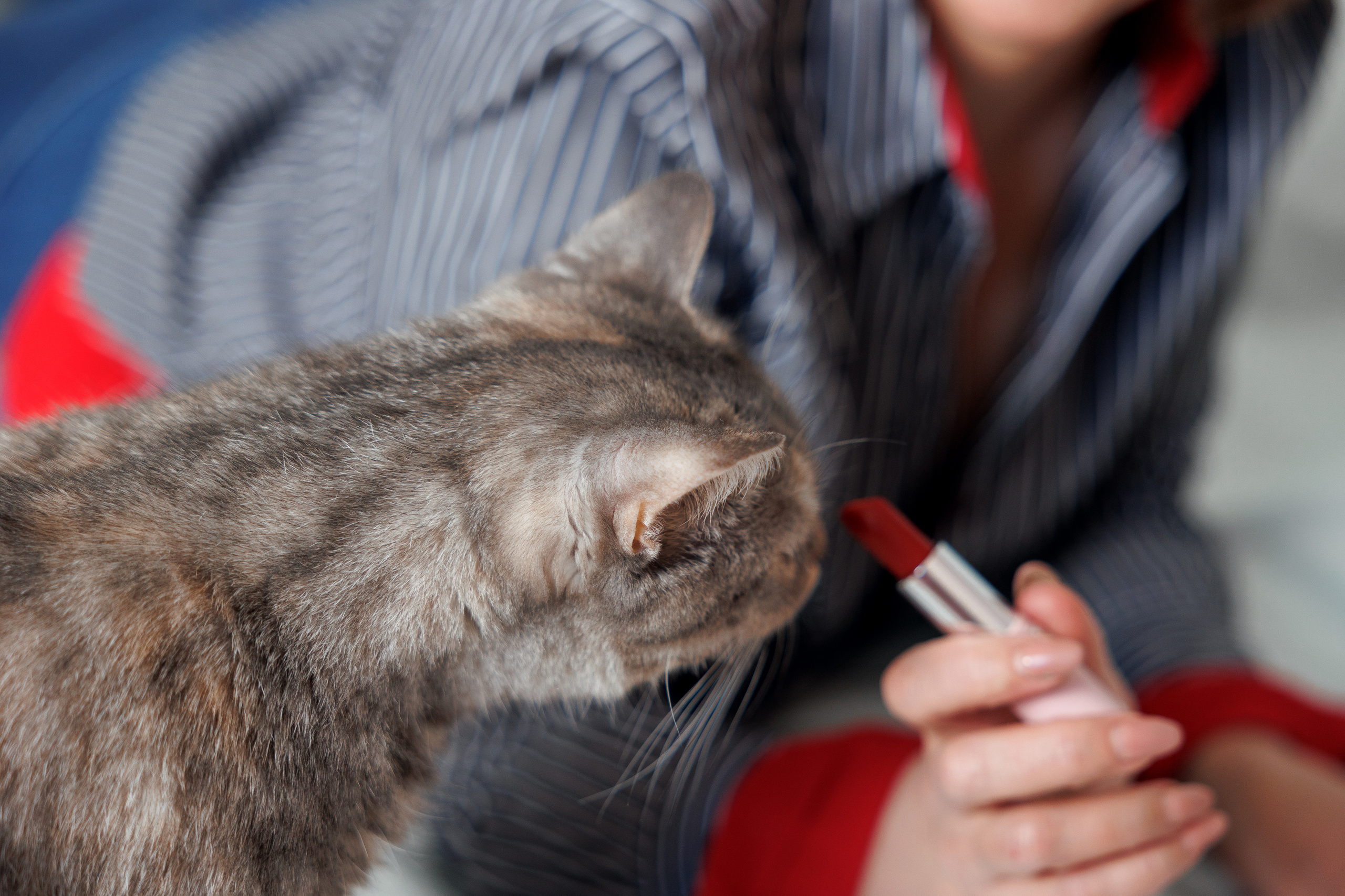 Контент съемка для Оксаны. Фотограф Тимофеева Валентина