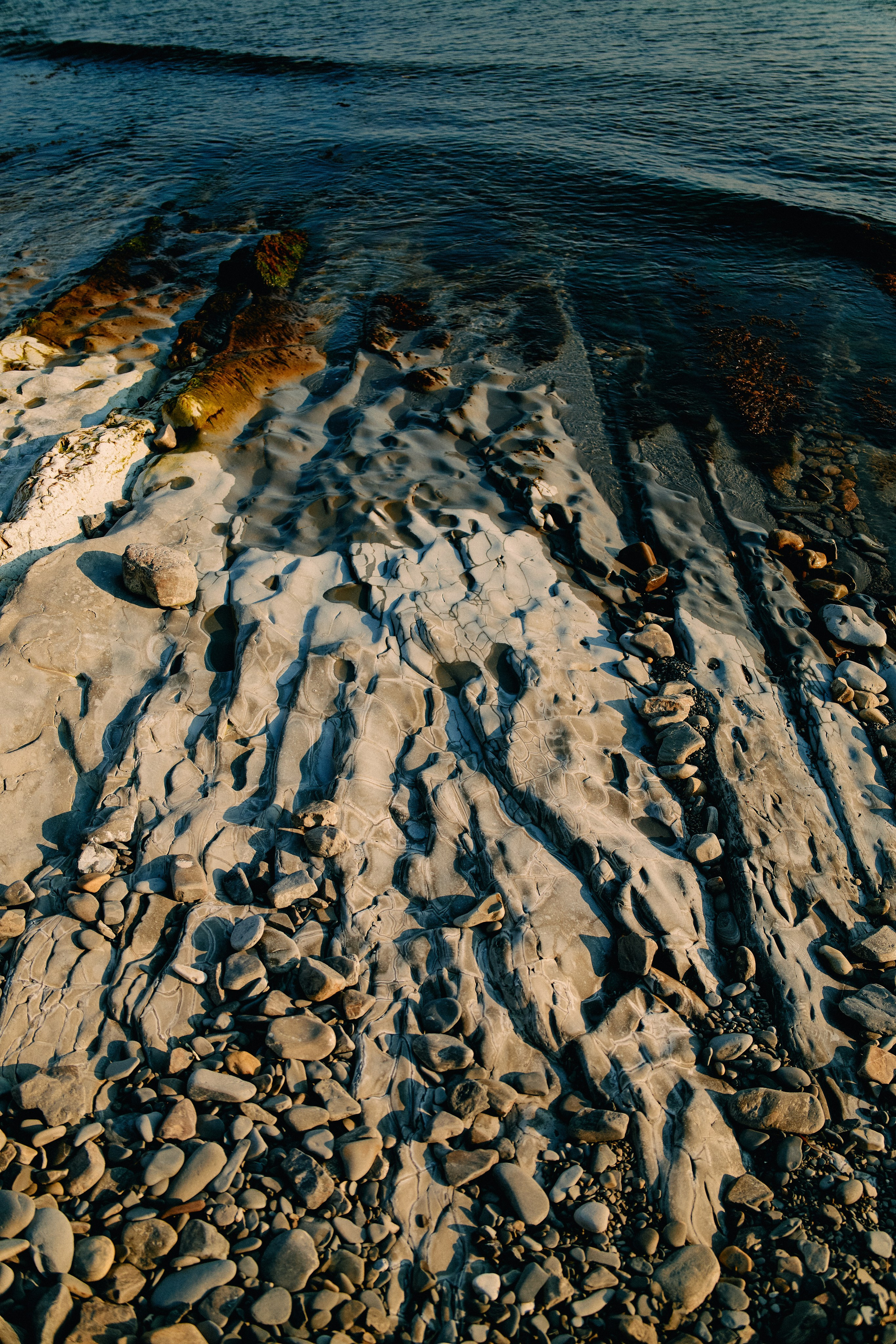 Юг России. Профессиональный Фотограф во Владимире, в Москве и в Суздале — Полина Романычева