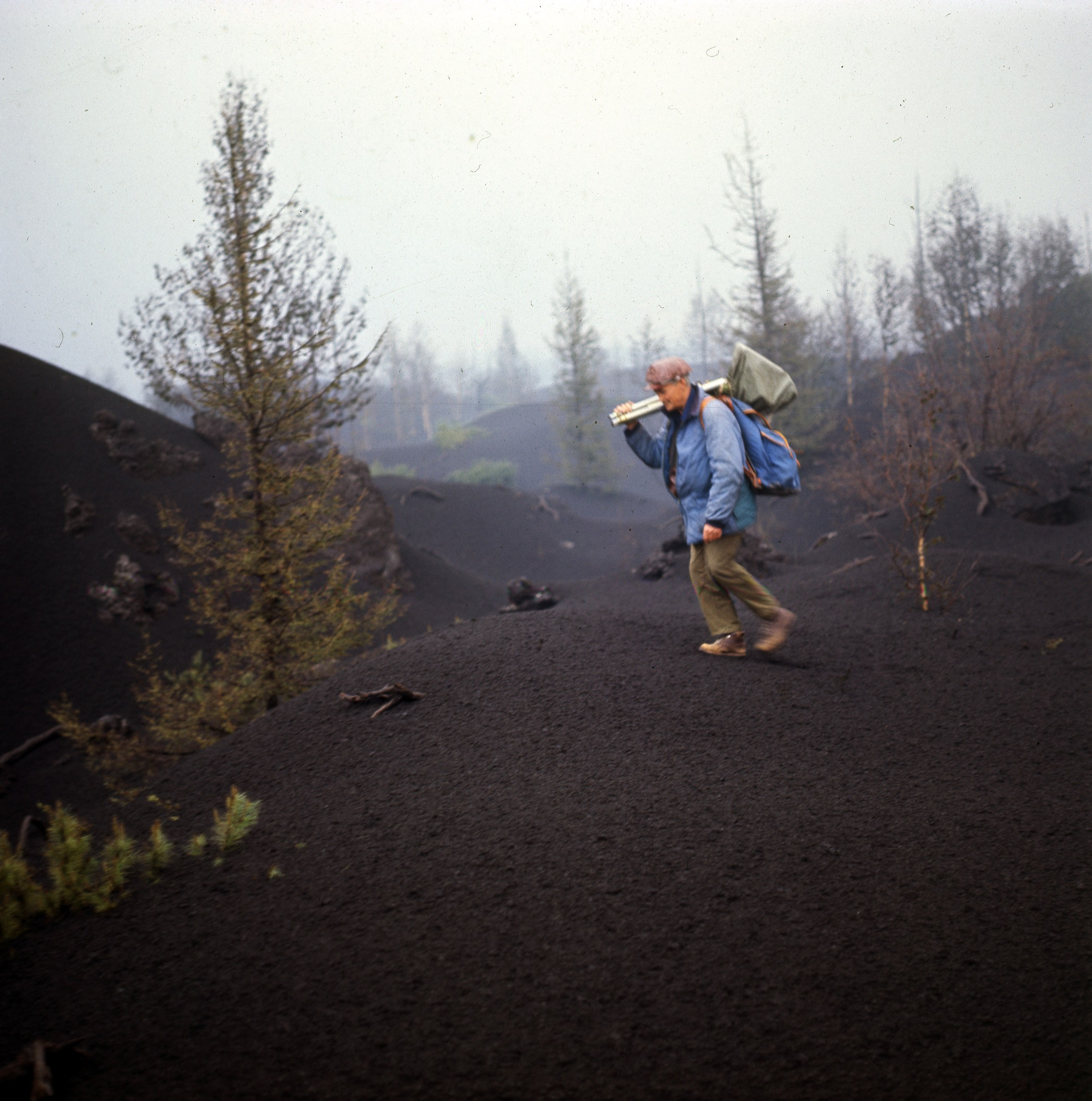 Толбачик. После извержения