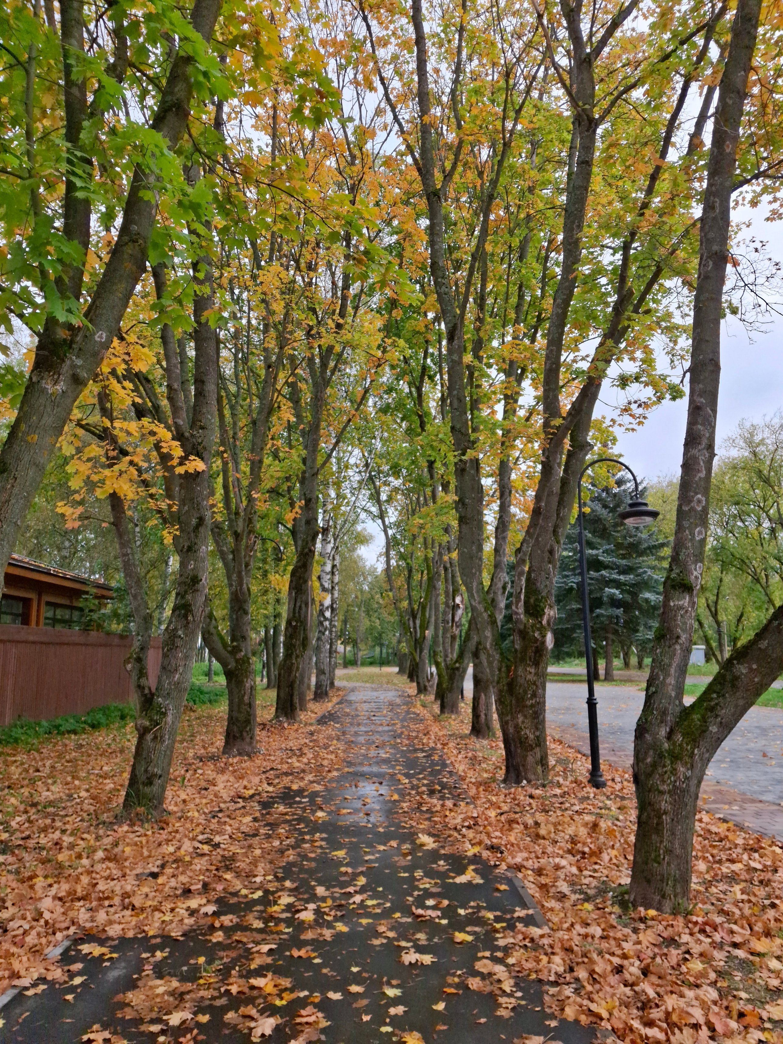 Суздаль. 20 сентября 2025. Игорь Жучков. Россия увиденная глазами путешествующего фотографа