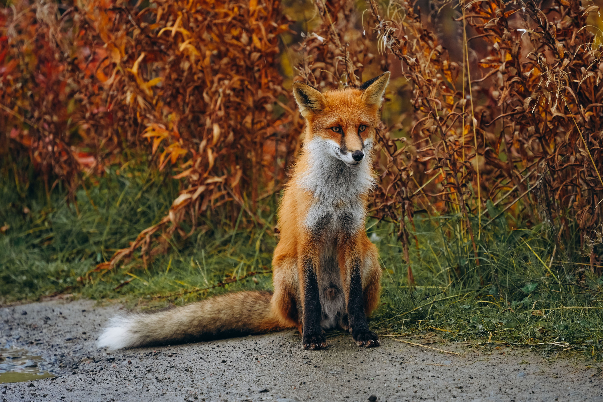 СЕВЕР. Event фотограф Степанова Александра