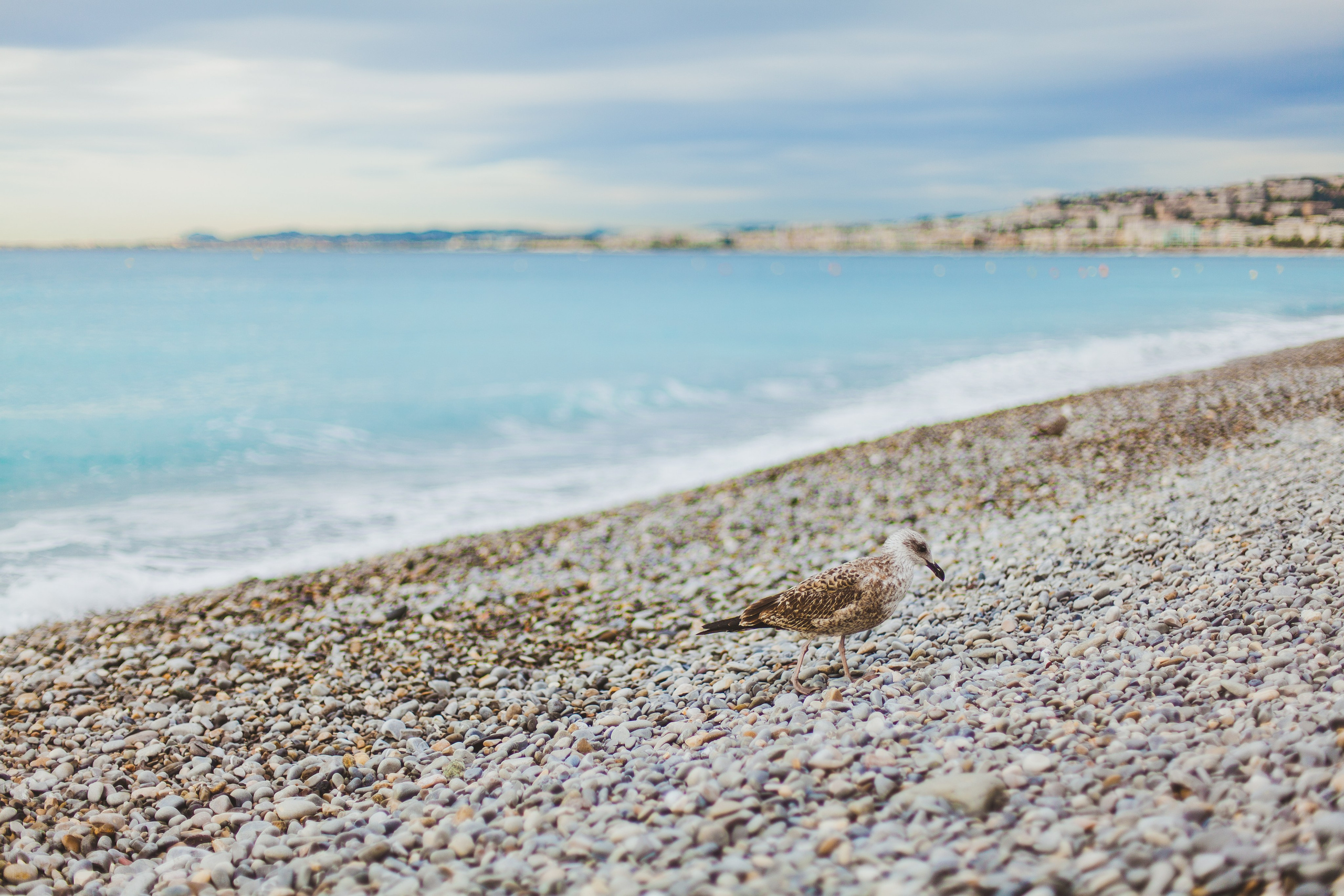 Ницца. Аня Степанова