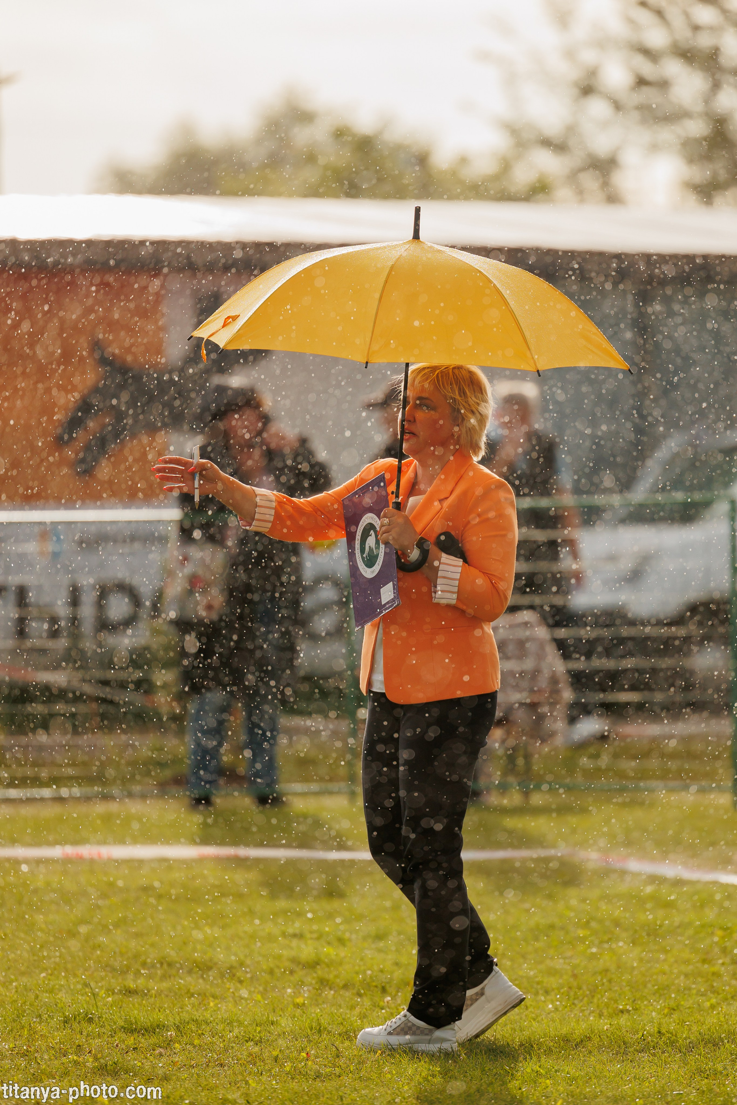 Фотографии с монопородных выставок немецких овчарок. Фотограф собак, фотограф-анималист Аня Титова (Titanya). Москва