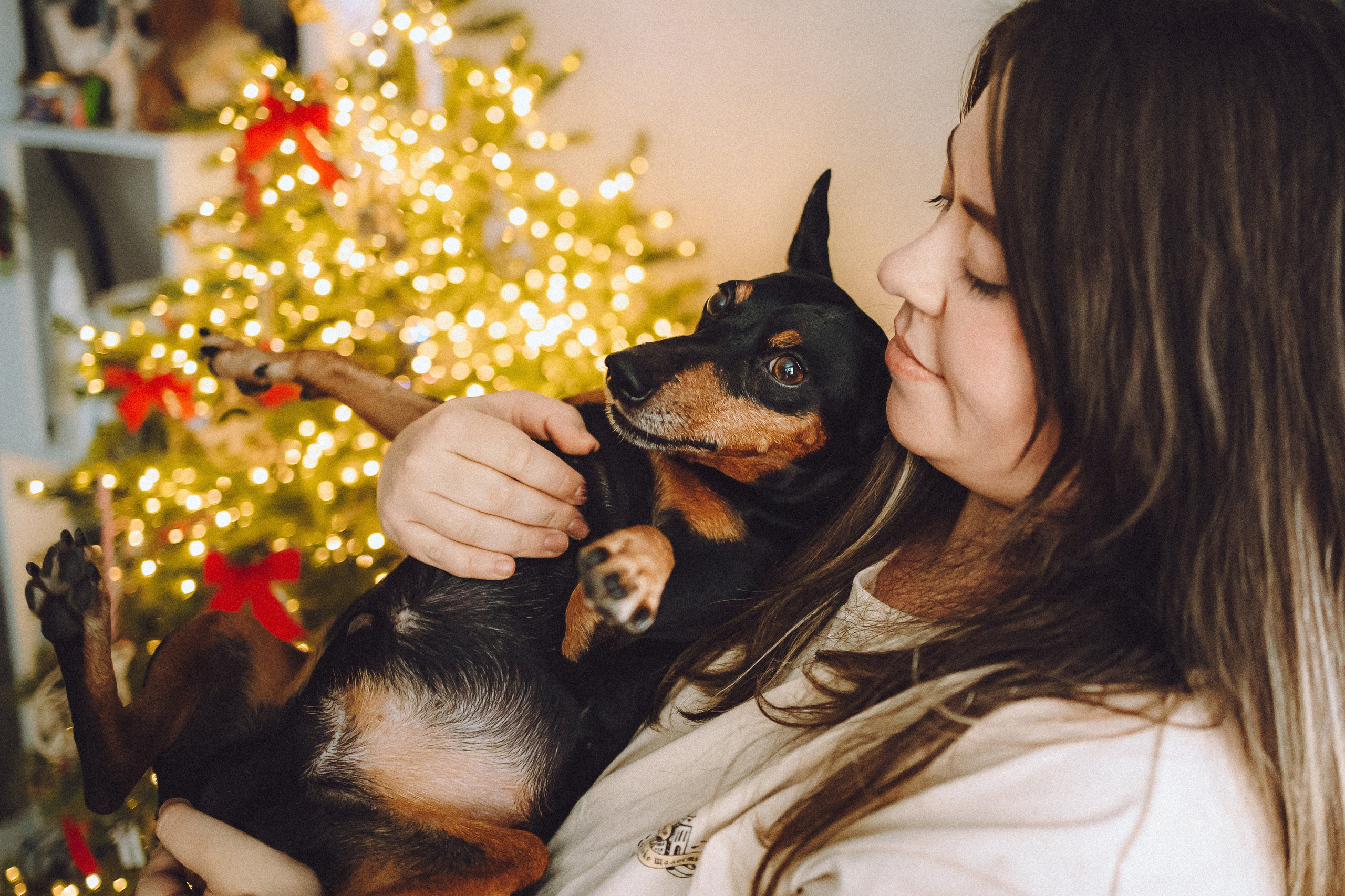 Топик и его семья