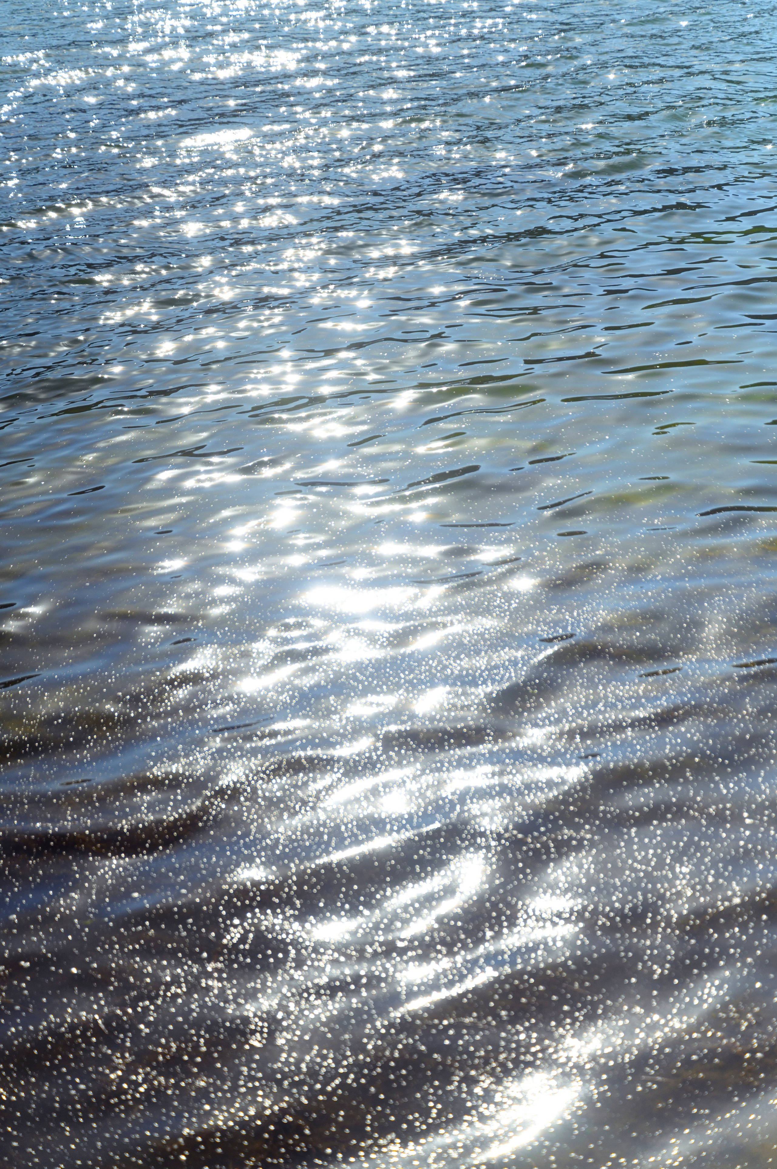 Кирилл и Анастасия. Свадебный фотограф и видеограф