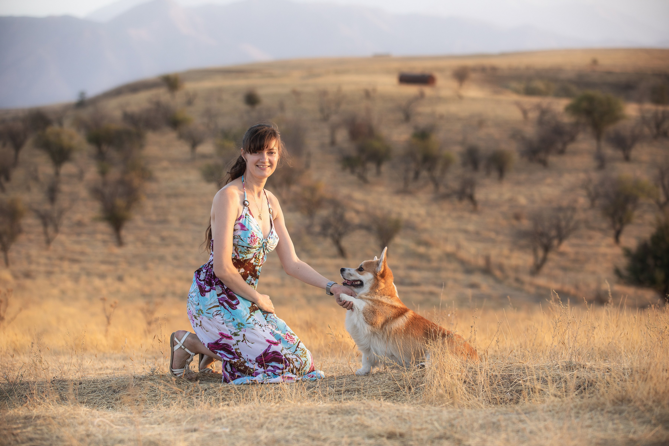 Собаки и не только. Фотограф Алена Звездина