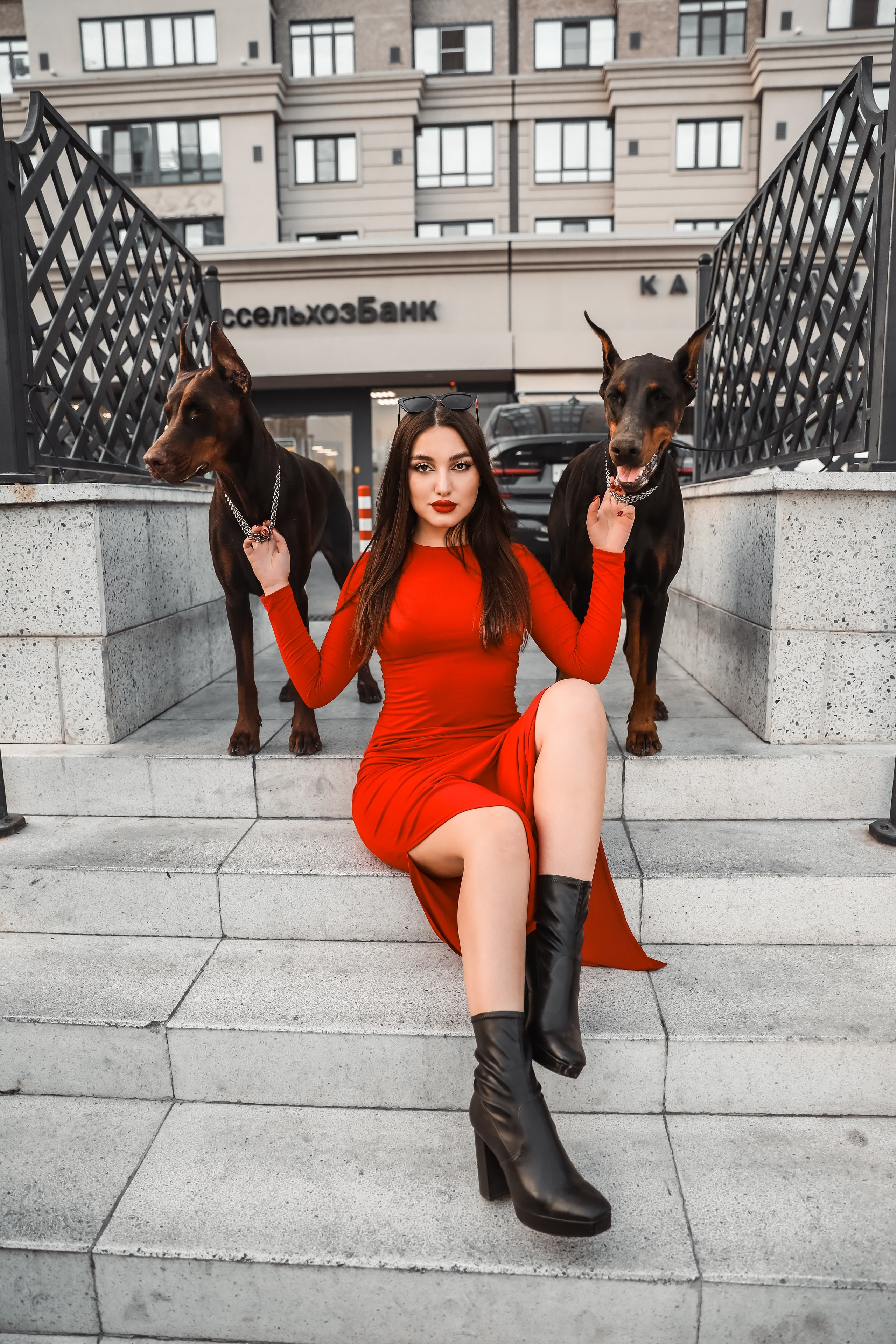 ПРОЕКТ «ДОБЕРМАНЫ». Photographer Viktoriya Markushina «My world throug»