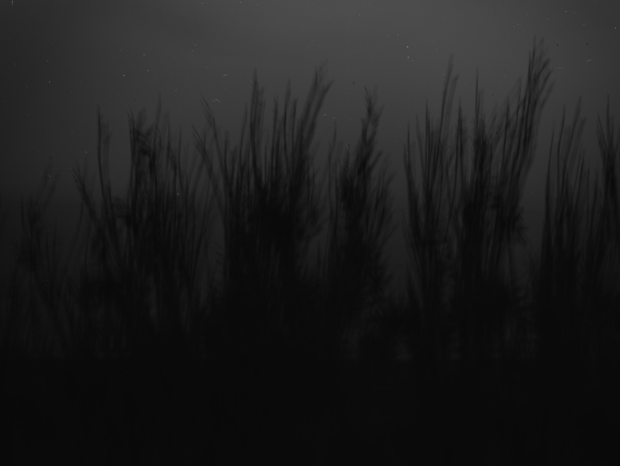 Света Каверина | I am the Sea. Private image