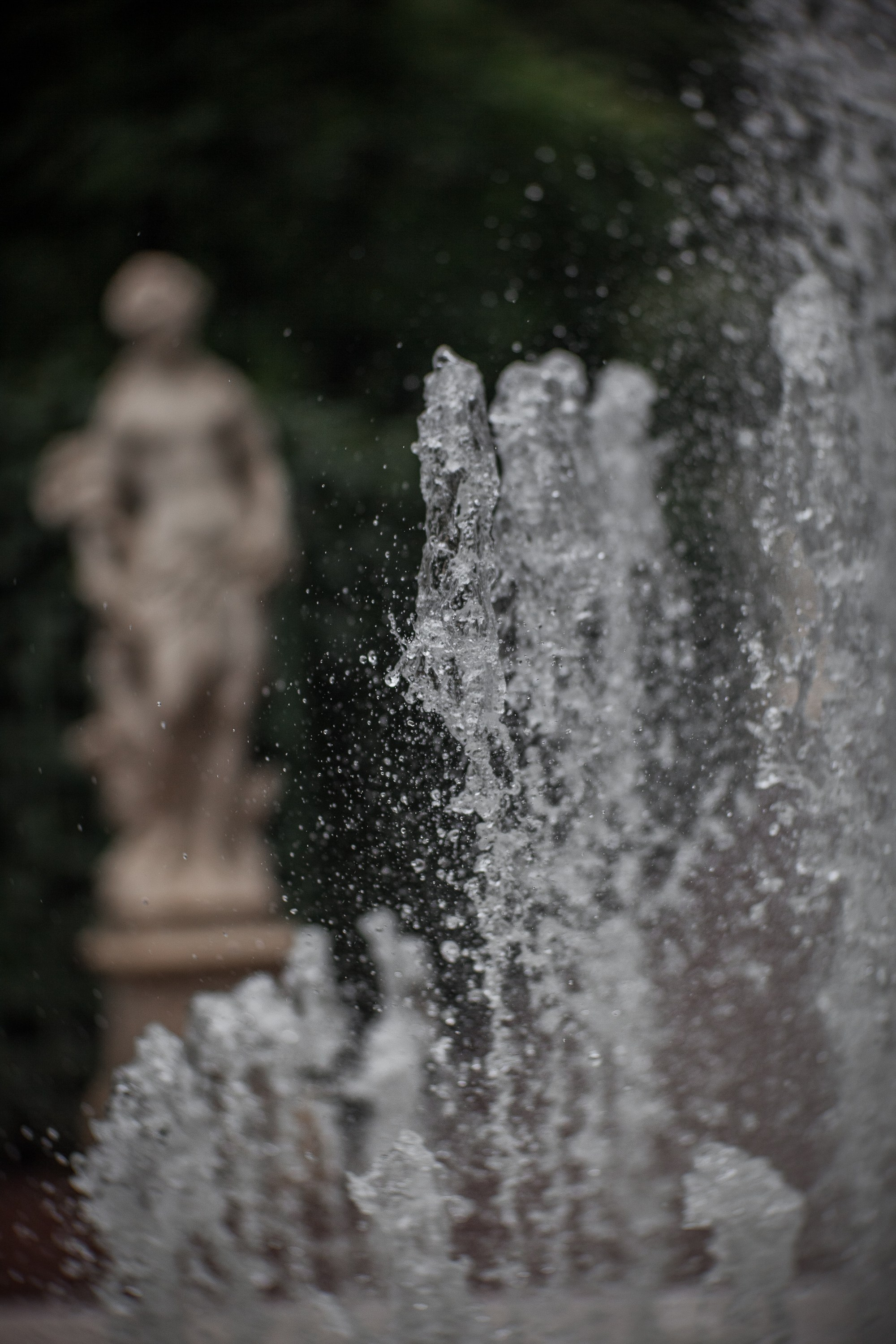 «Летний сад- моими глазами…». Туманов Виталий — фотограф Москва