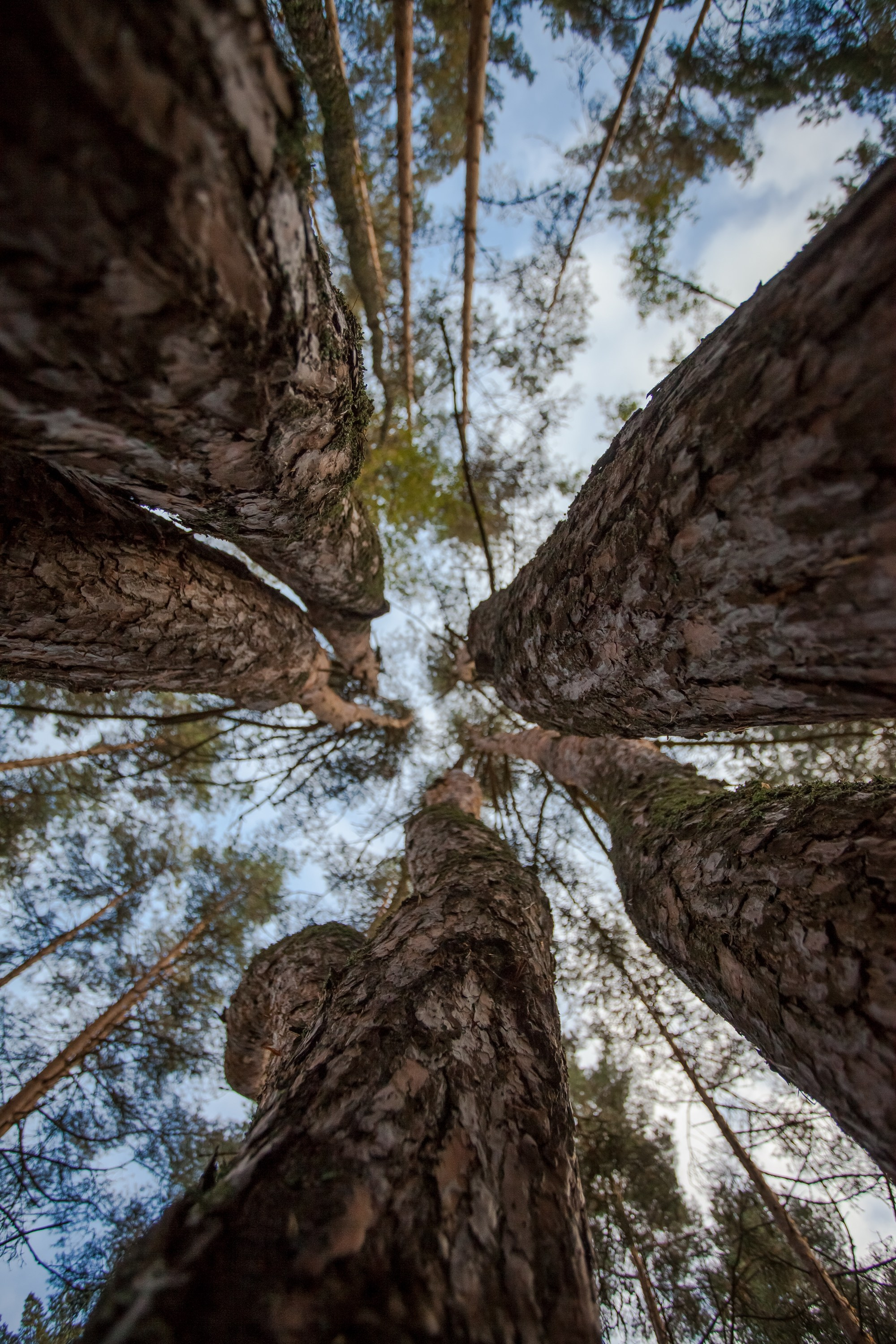 Остров «Свободы». Туманов Виталий — фотограф Москва