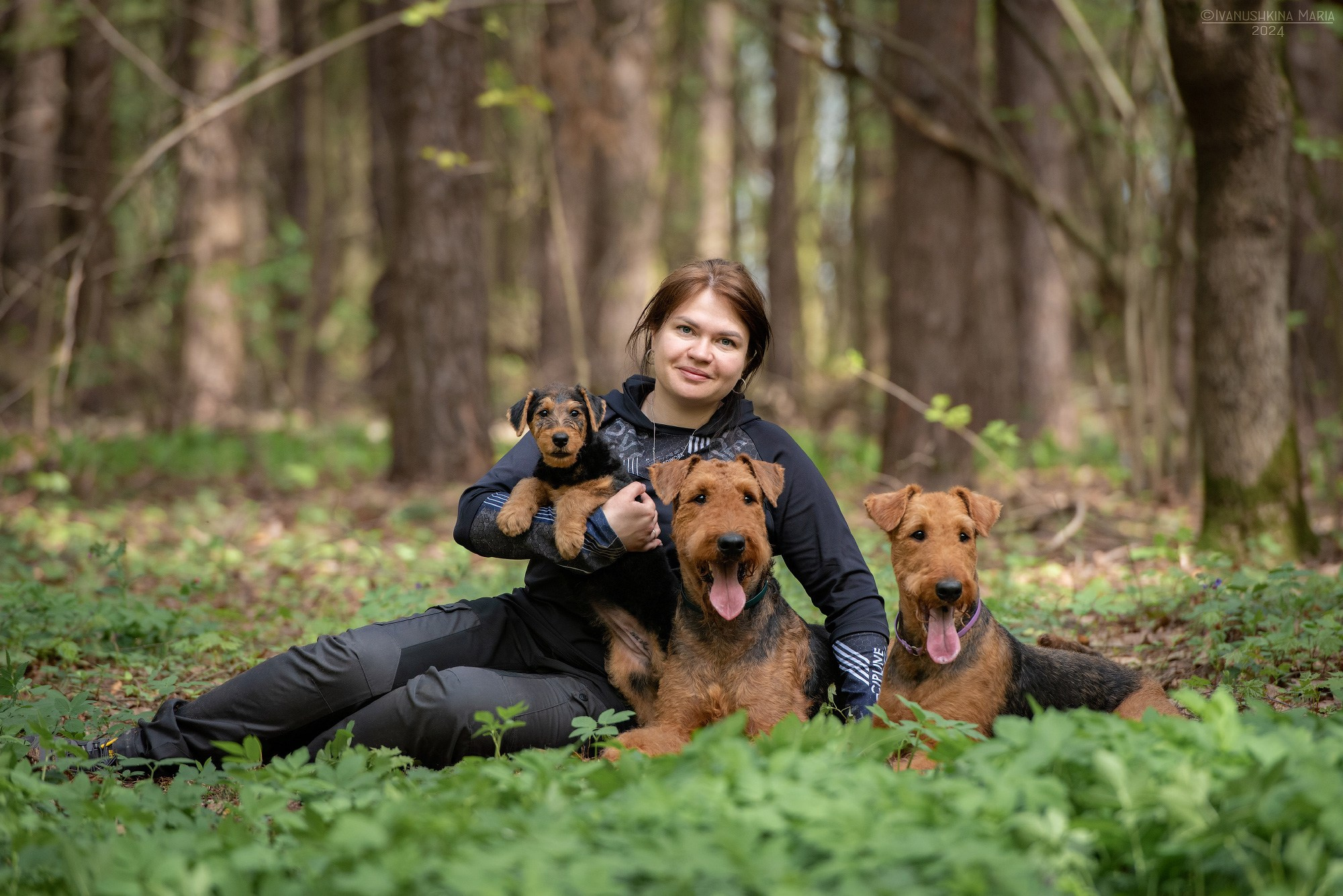 эрдельтерьеры и щенок