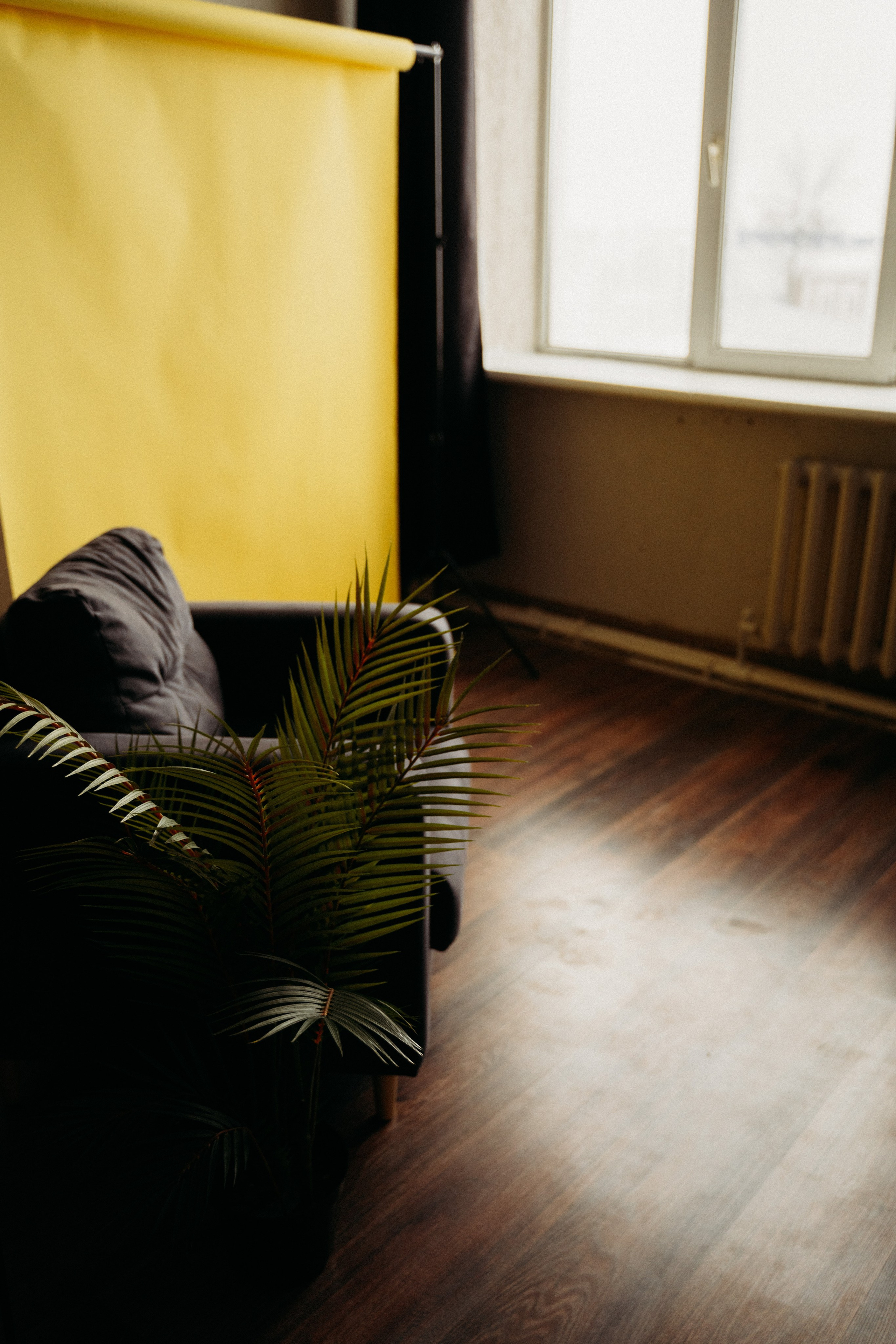 Студийные Локации