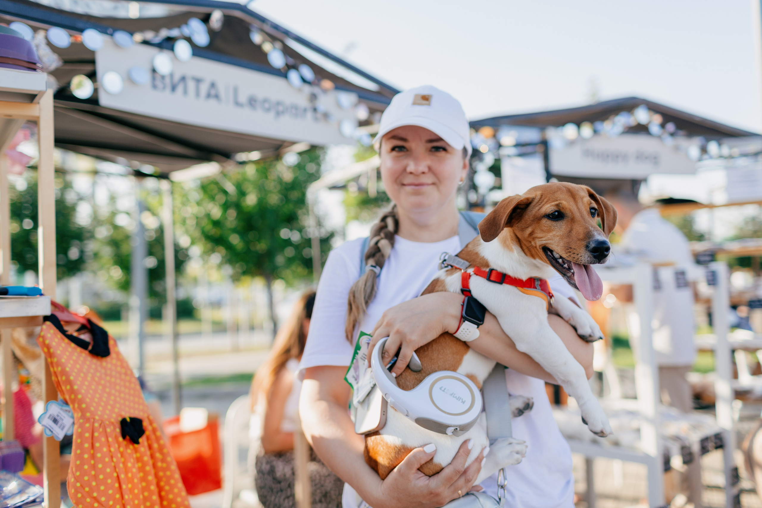 Dog Fest 2024. Главная