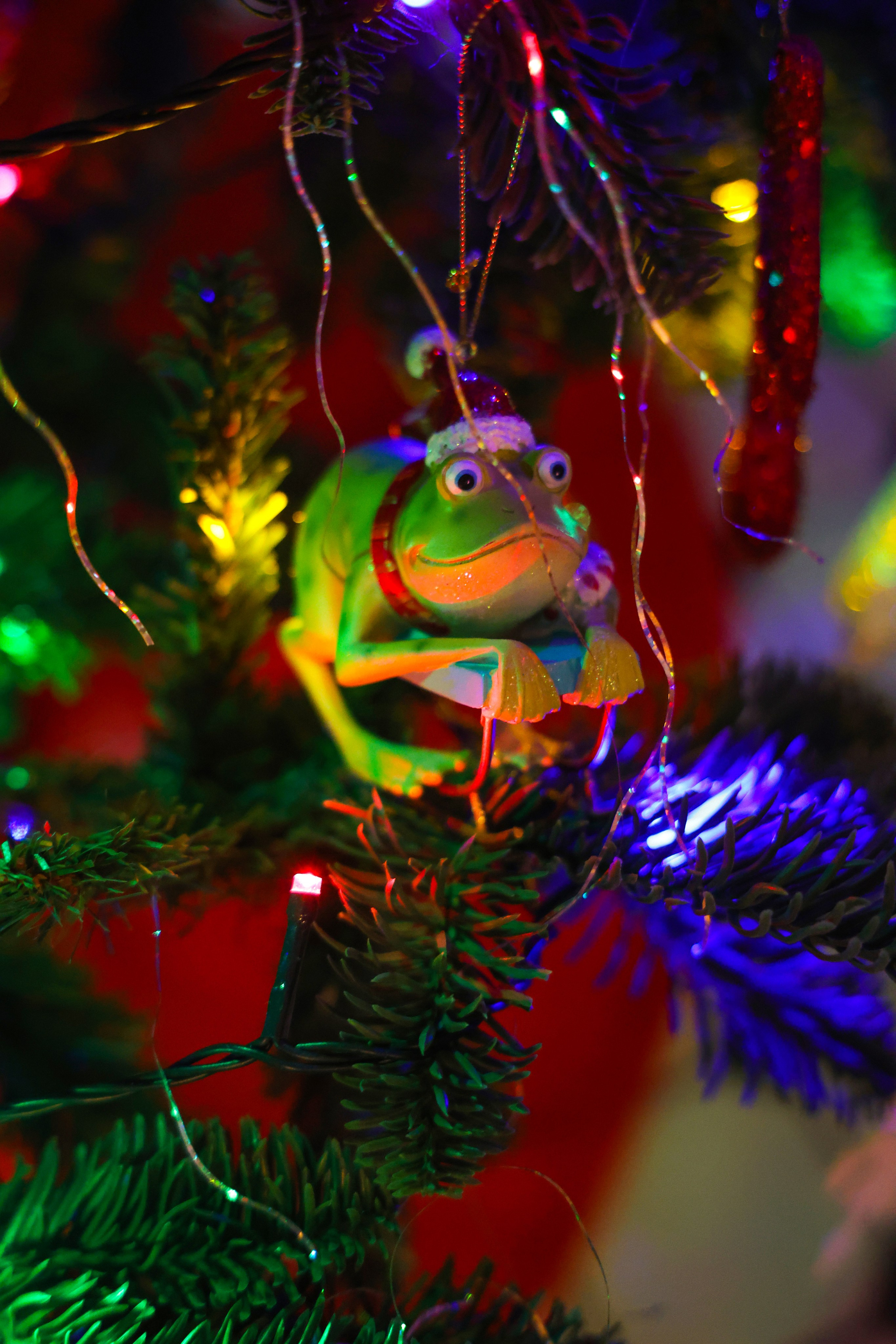 Christmas tree. Portrait photographer based in Toronto — Blinova Mariia