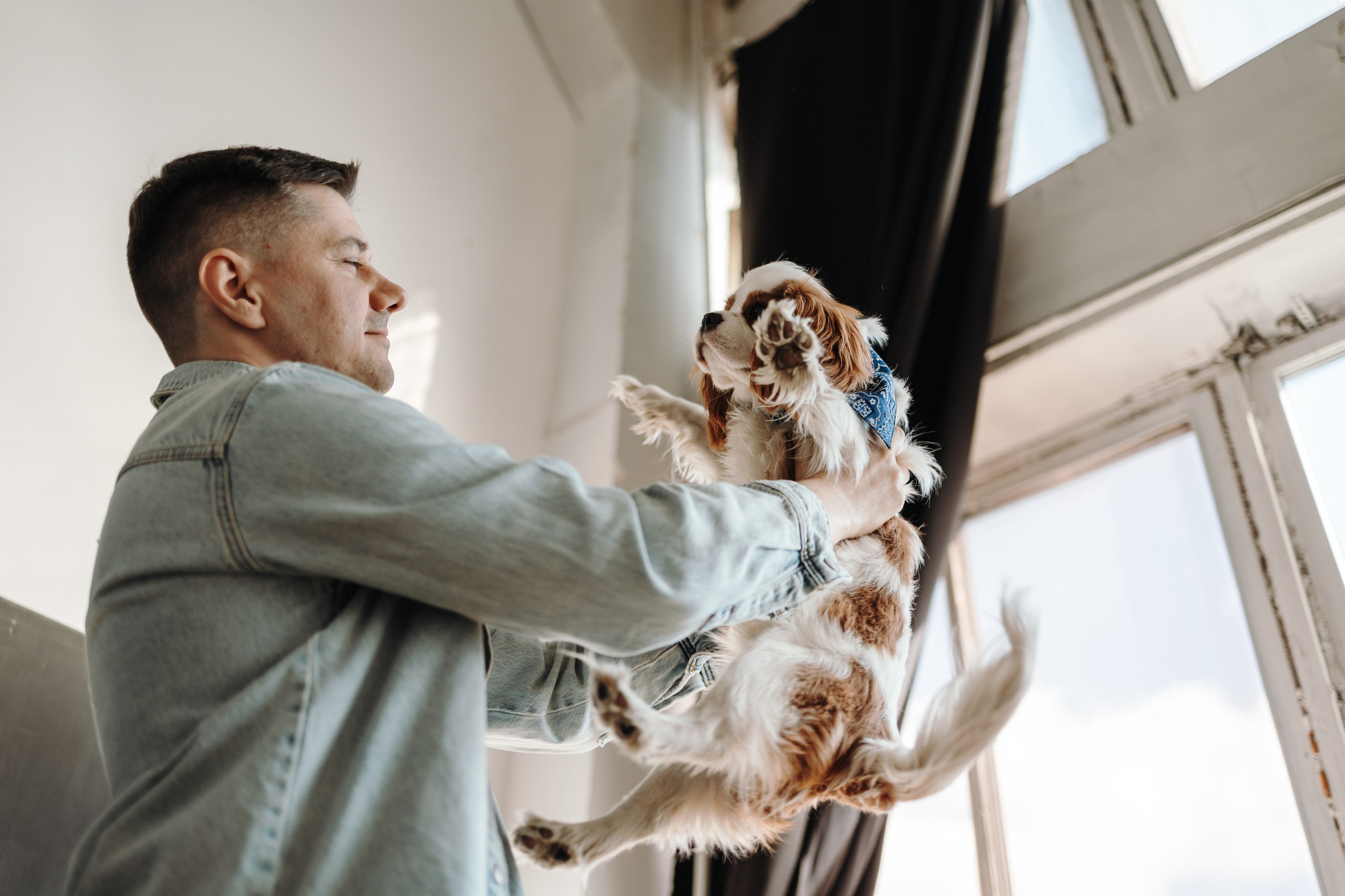 Плуто и его семья. Фотограф — Анималист | Санкт-Петербург