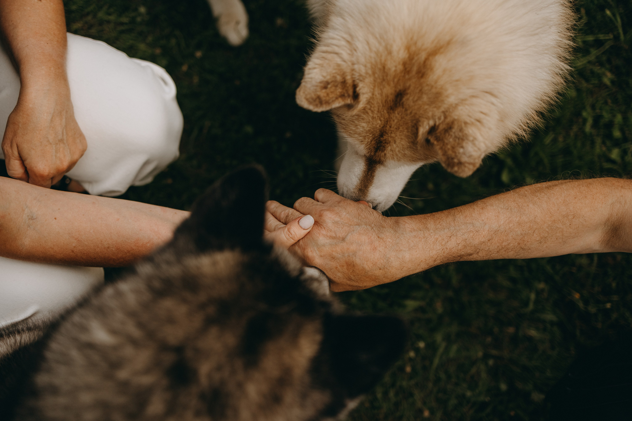 Дом у реки. Фотограф — Анималист | Санкт-Петербург