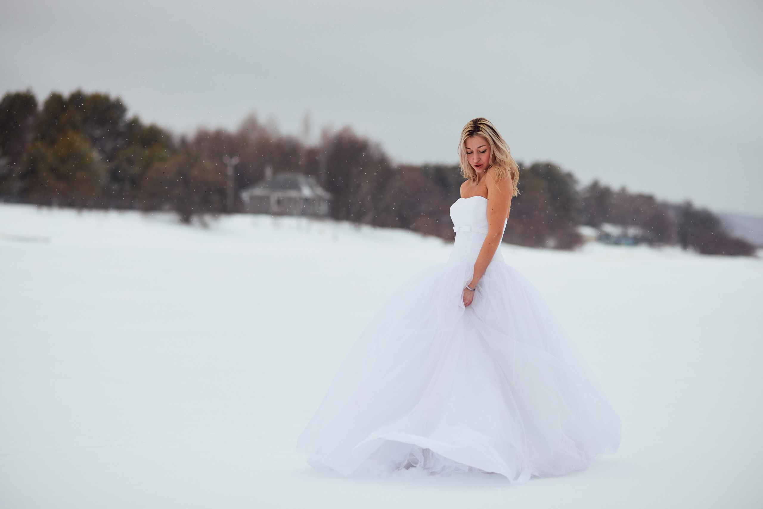 Сбежавшая невеста. Сергей Ирклиенко