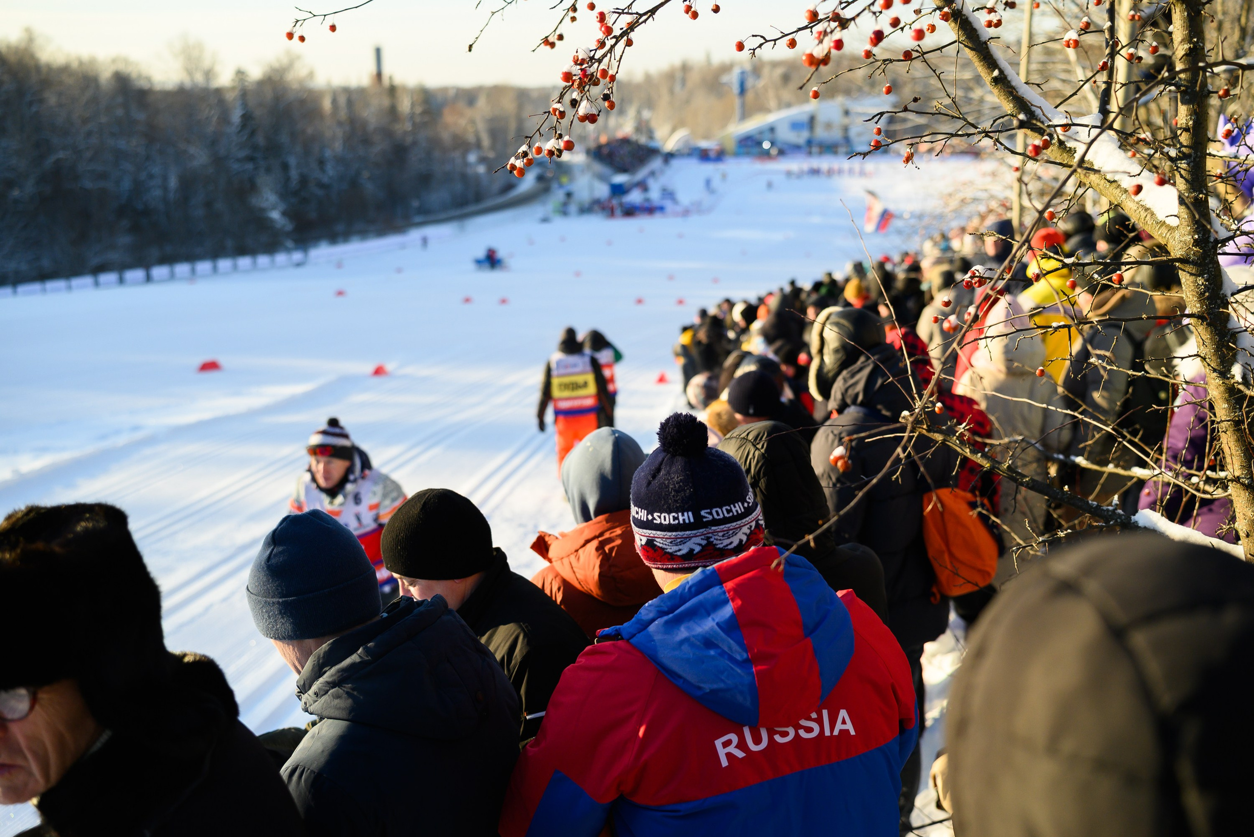 Лыжные гонки. Свадебный фотограф Ижевск Петр Шишков