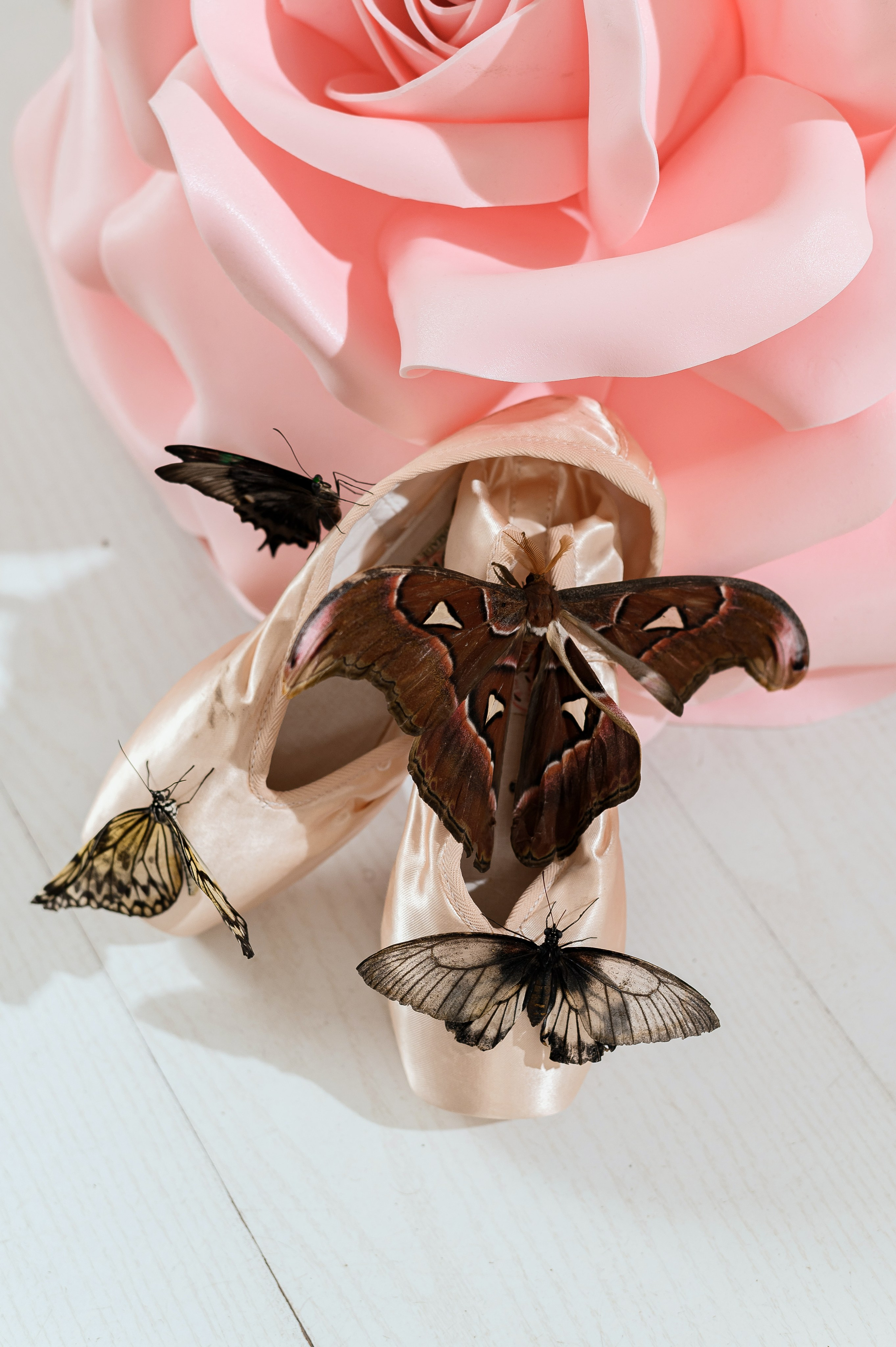 BALLET & BUTTERFLY. Профессиональный репортажный, коммерческий фотограф в Санкт-Петербурге