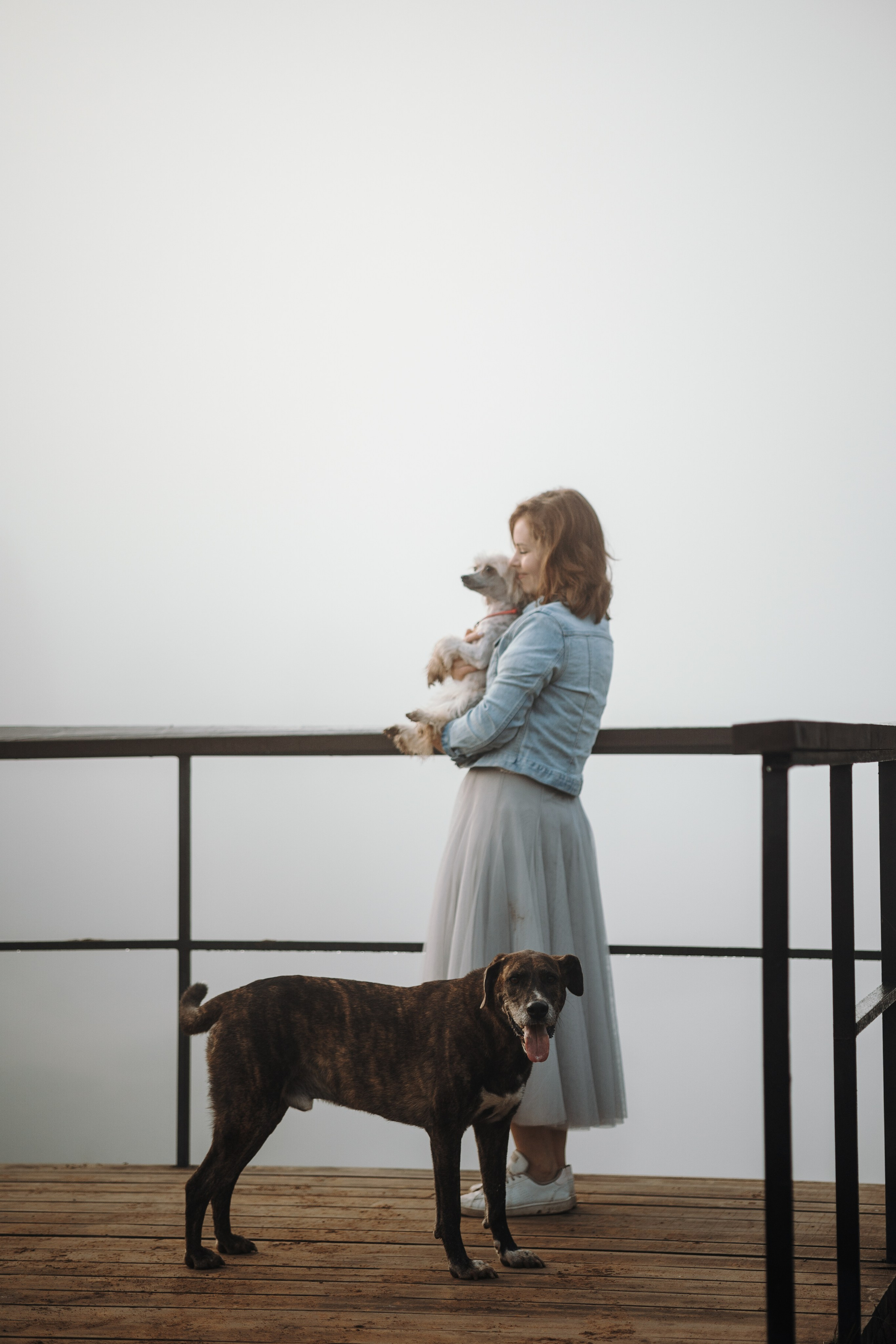 Любовь и ее хвостики. Фотограф — Анималист | Санкт-Петербург