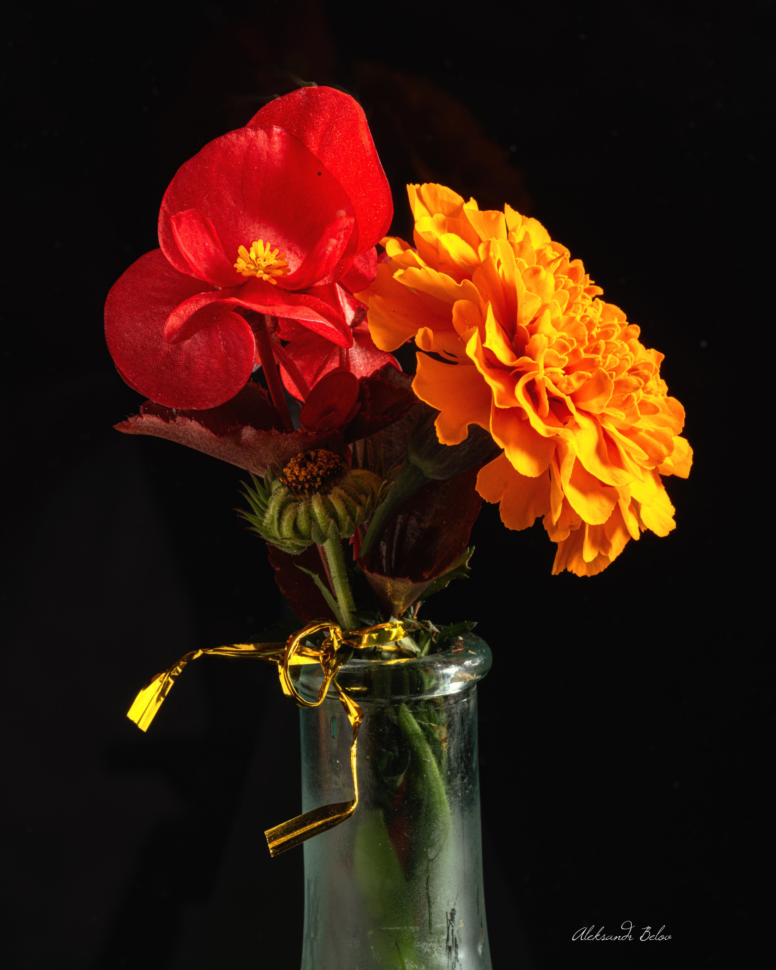 Предметная съемка. Пейзажный и семейный фотограф в Санкт-Петербурге Александр Белов