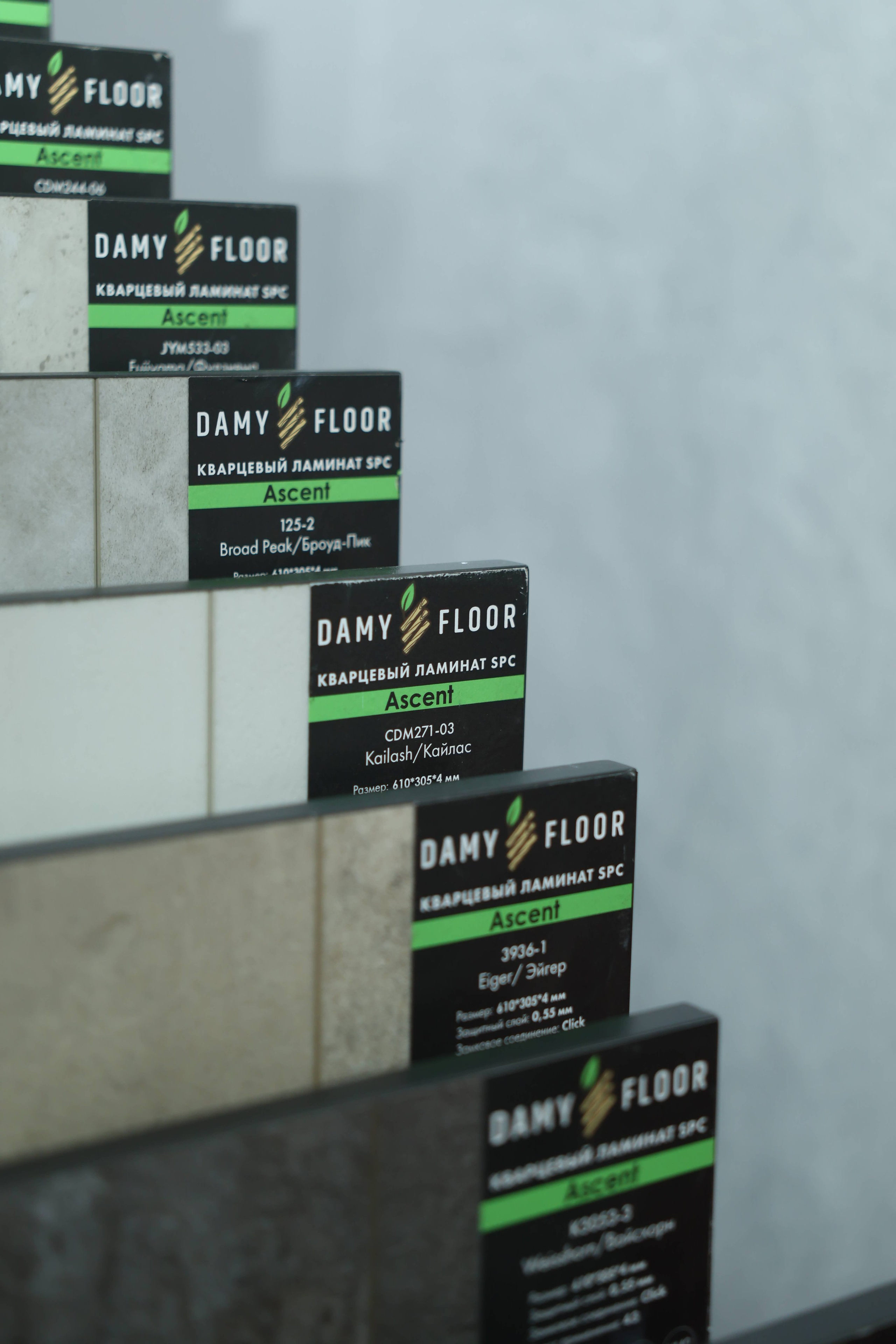 Damy Floor