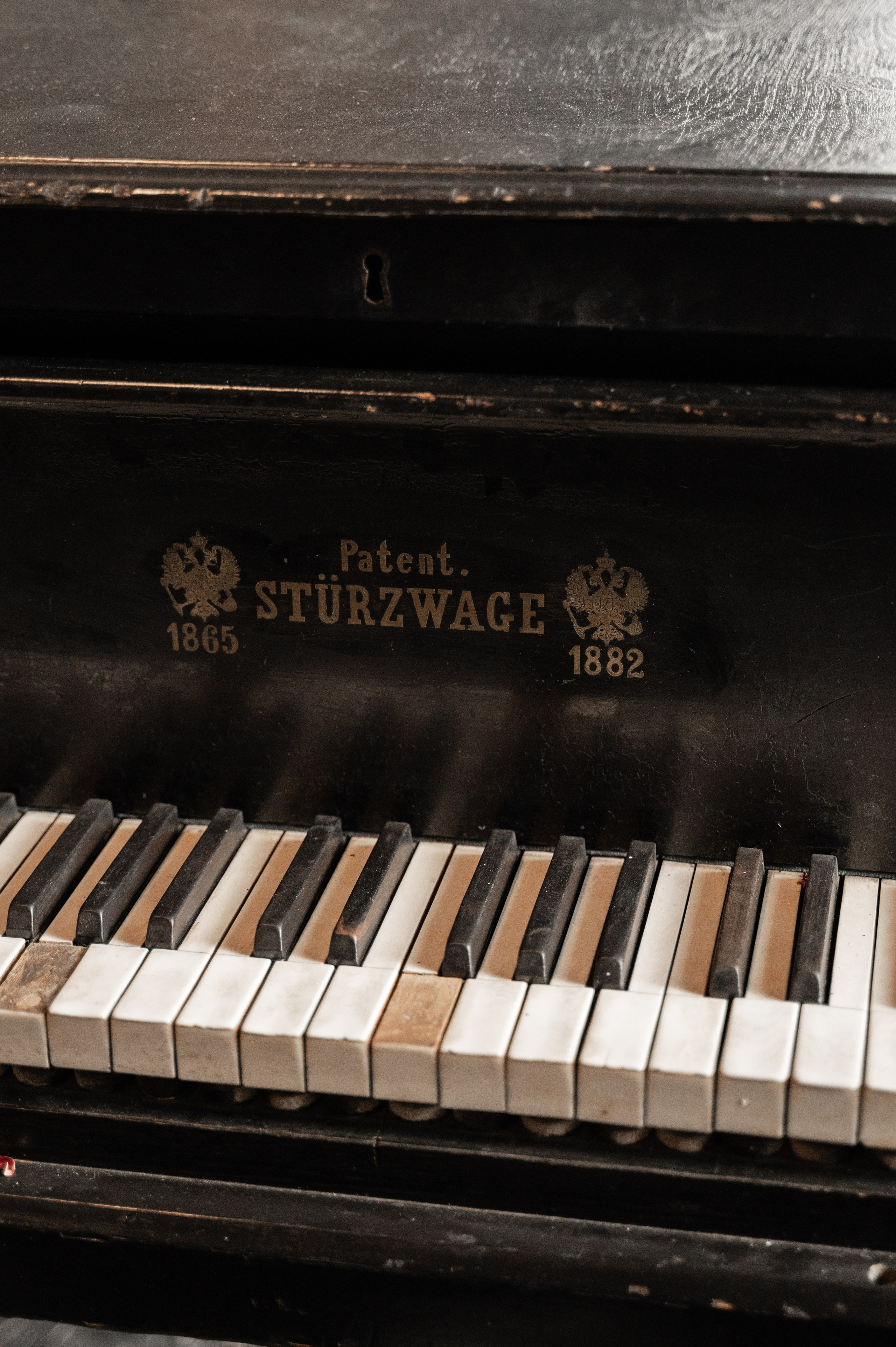 Wedding. Журавлёва Елена