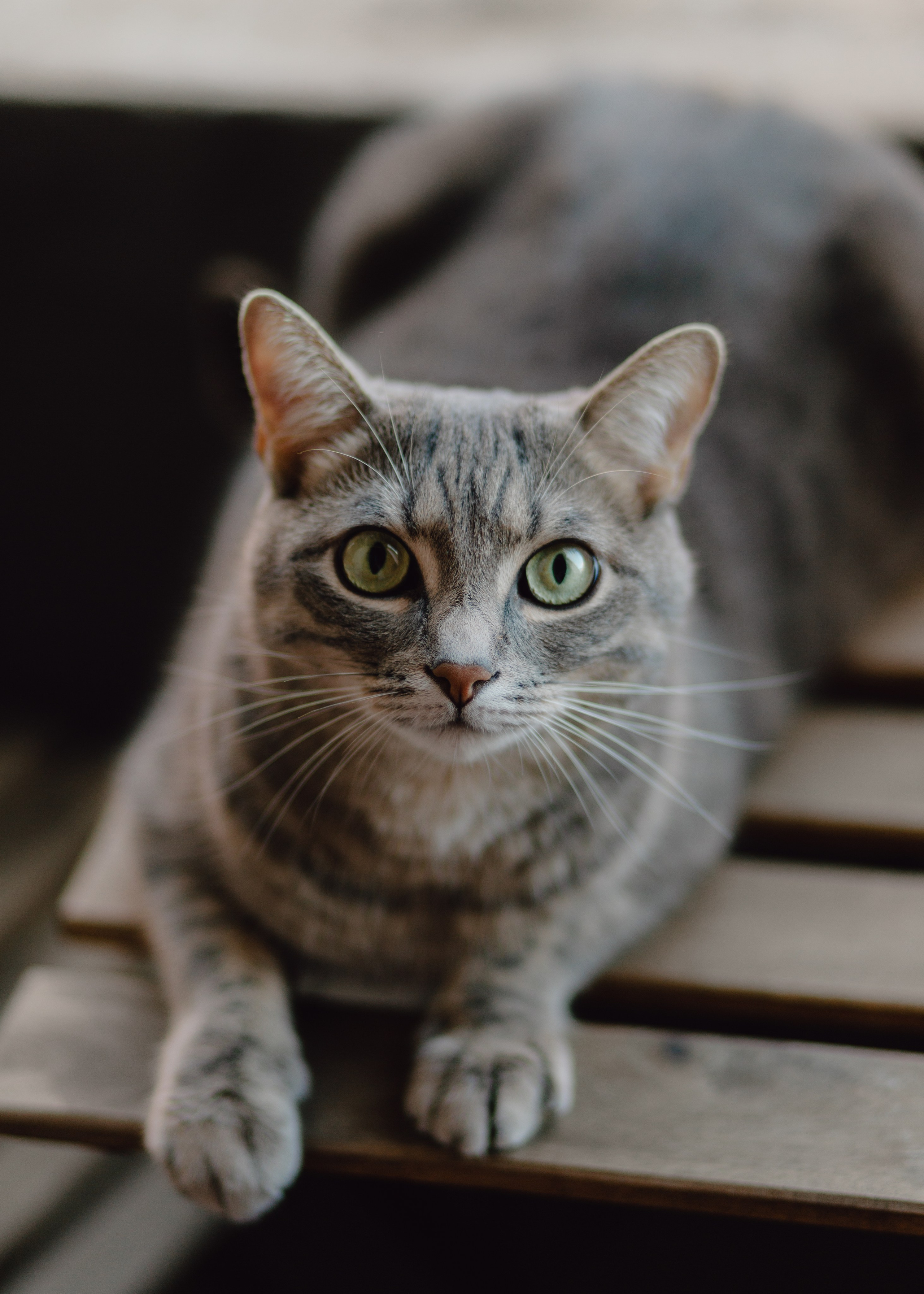 Flower Workshop. Barbara Isaeva