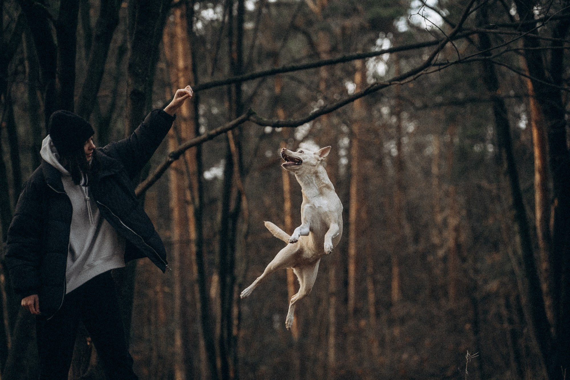 Туся. Фотограф анималист в Москве и Санкт-Петербурге Свиридова Анна