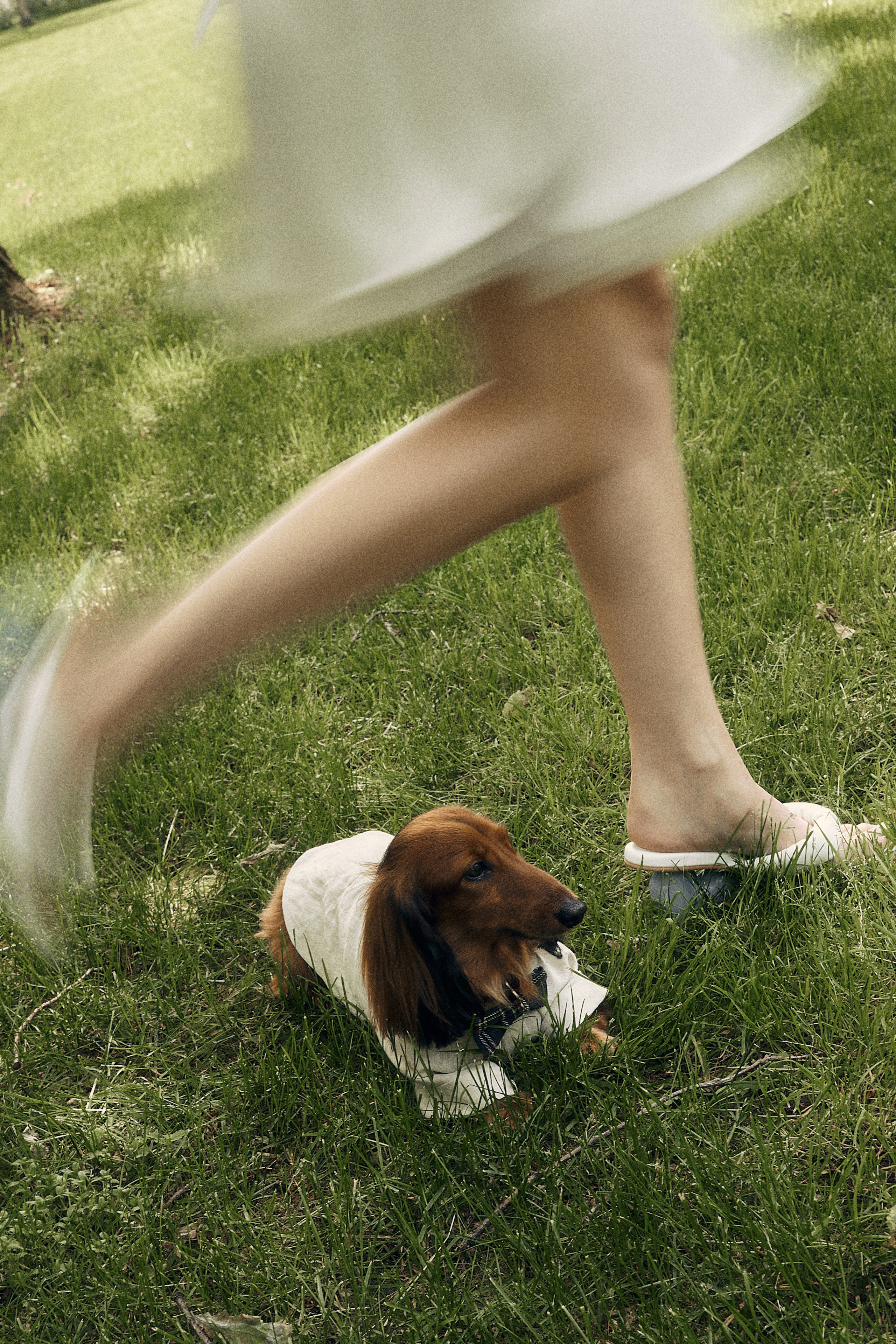 Анастасия и Влад. Свадебный и семейный фотограф в Иваново и Москве Мильков Вадим