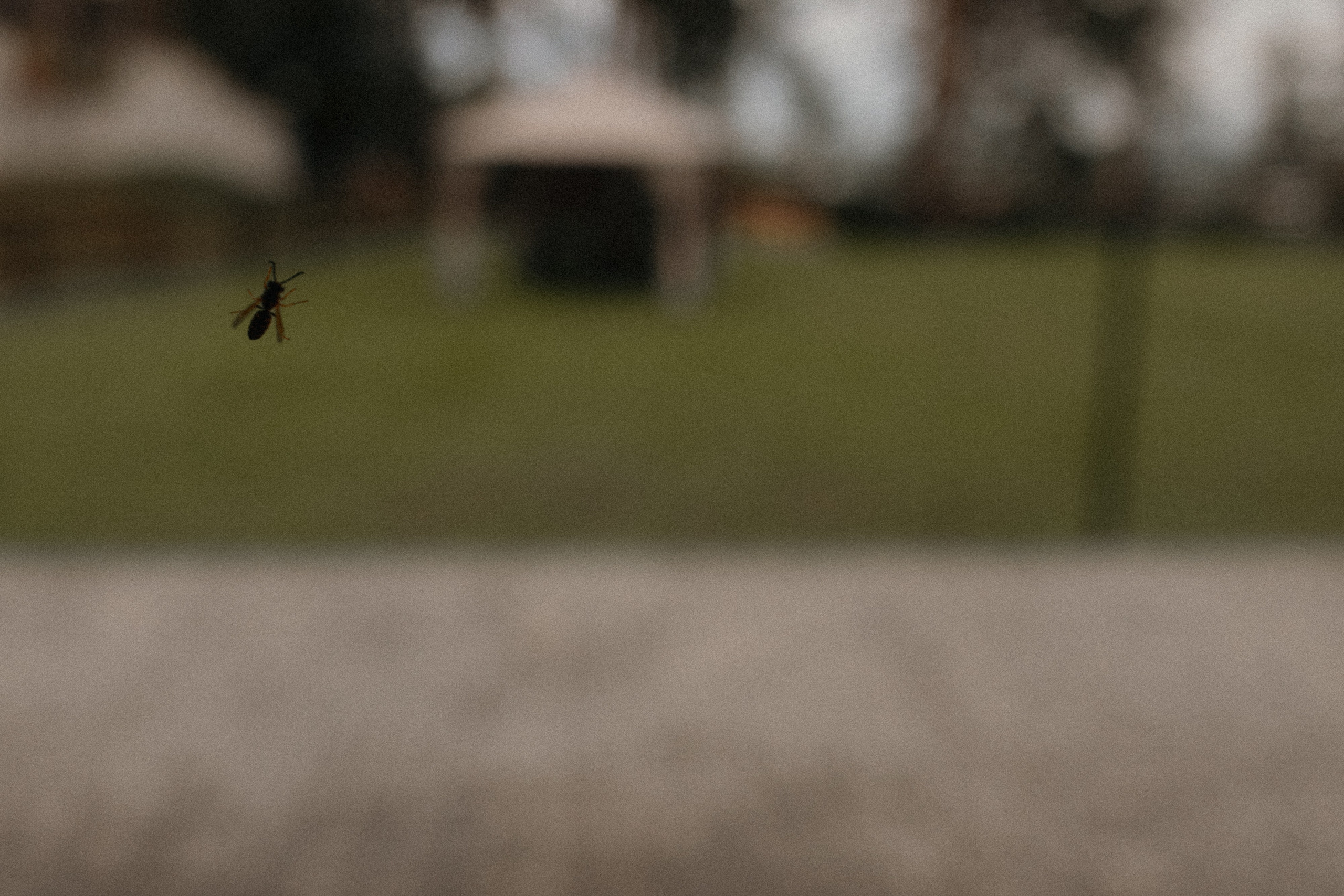 Николай и Елена. Свадебный фотограф Артак Костанян