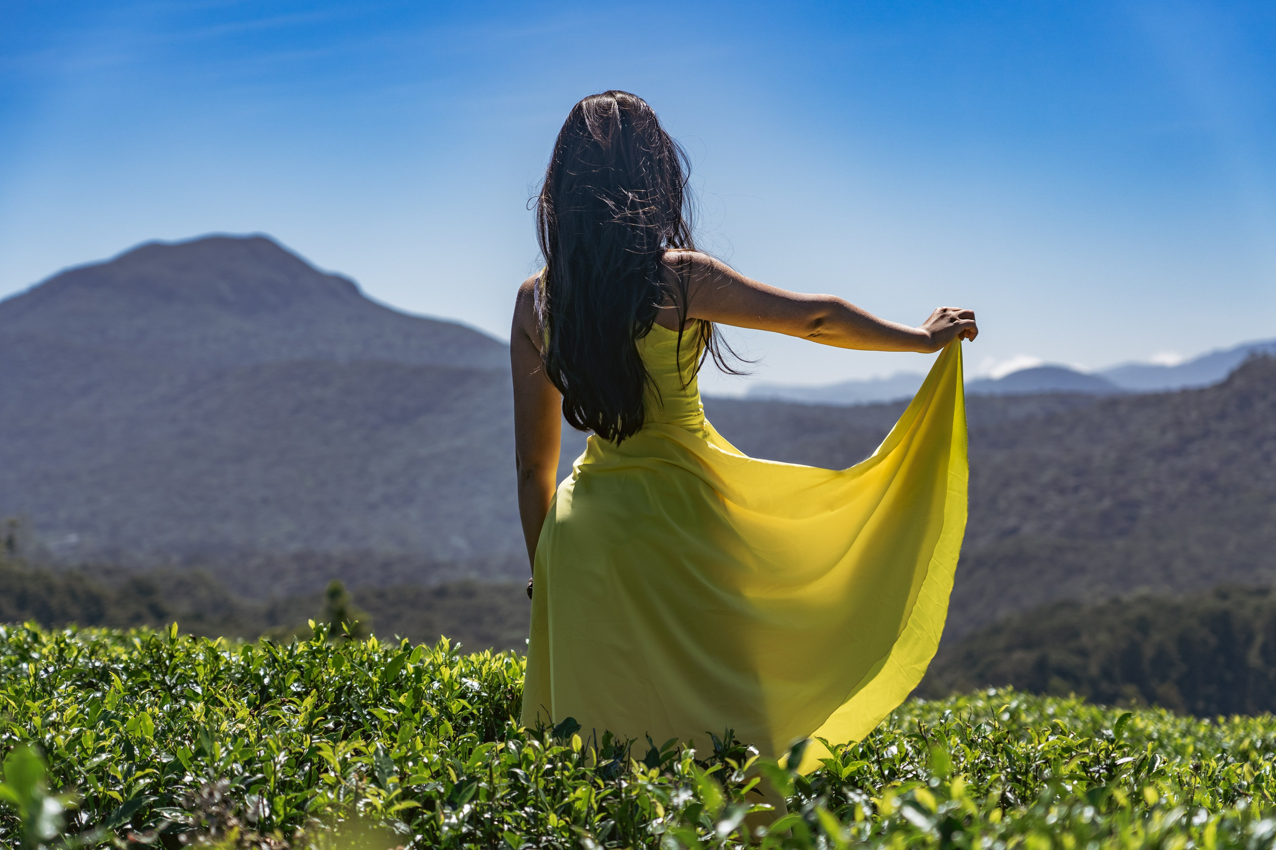 Promo content shooting for Ceylon Forward Tours