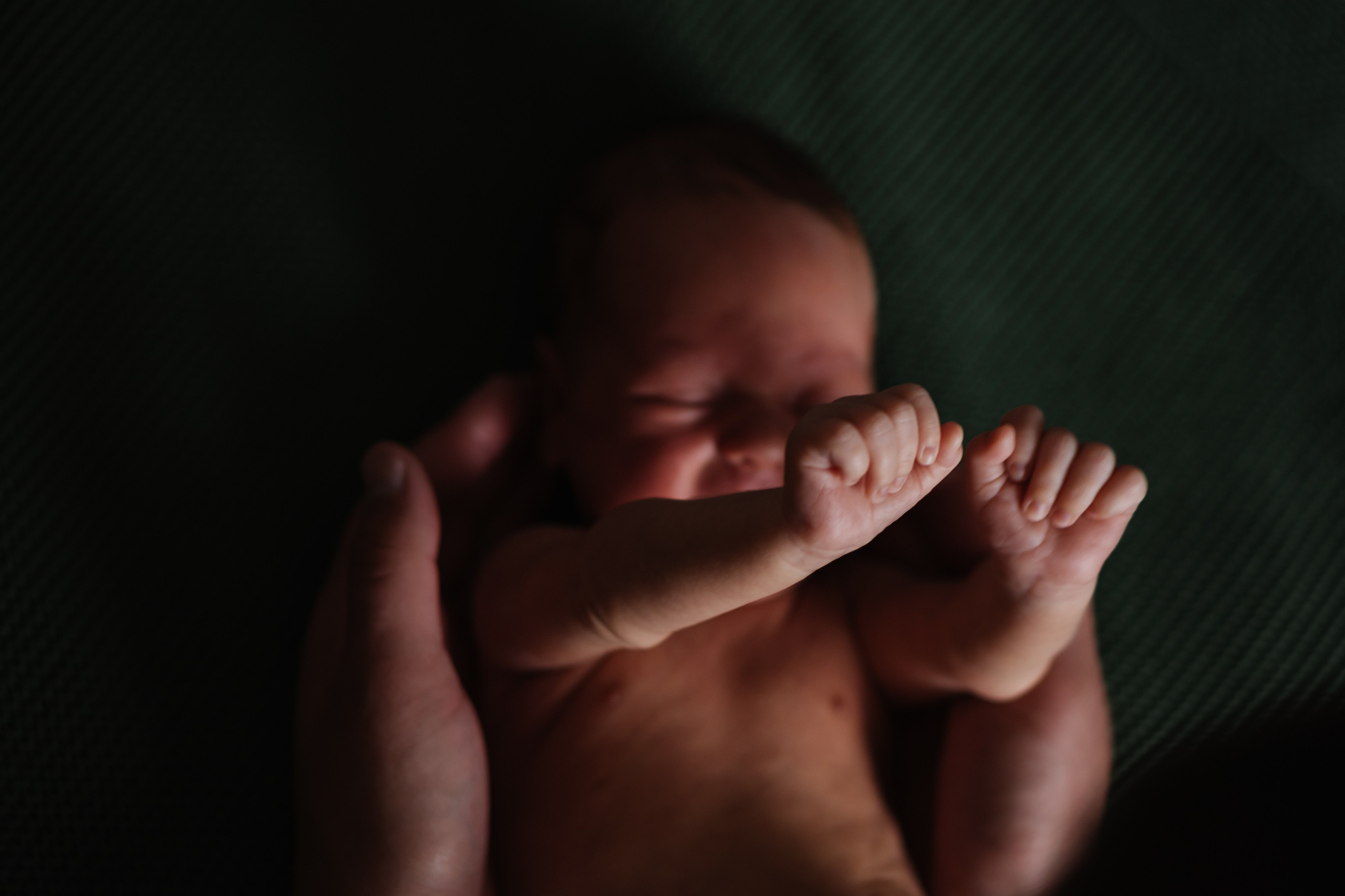 Петя с родителями, домашняя фотосессия. Фотограф Ольга Игорева