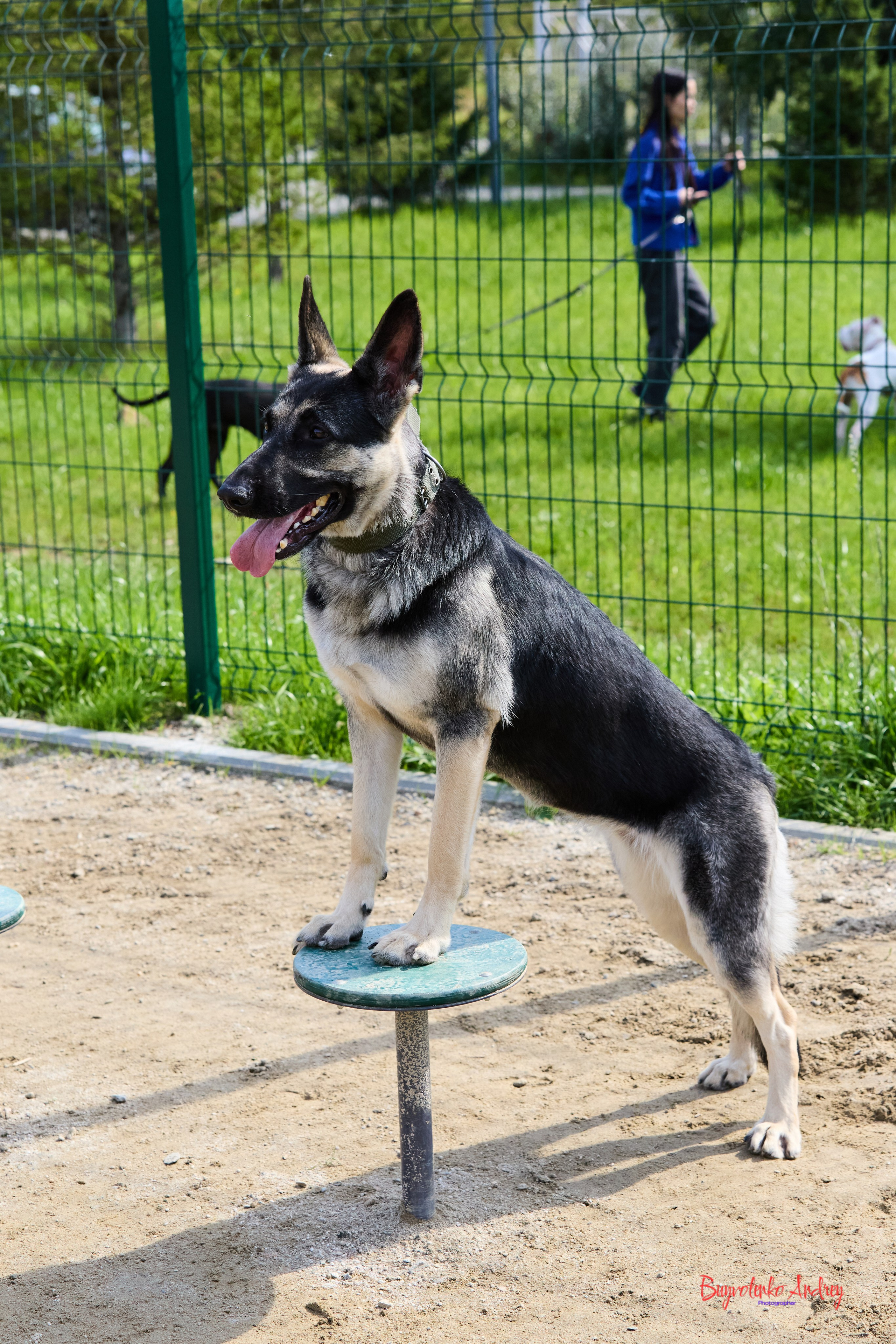 Проект фотопрогулка с хвостиком. Buyvolenko Andrey