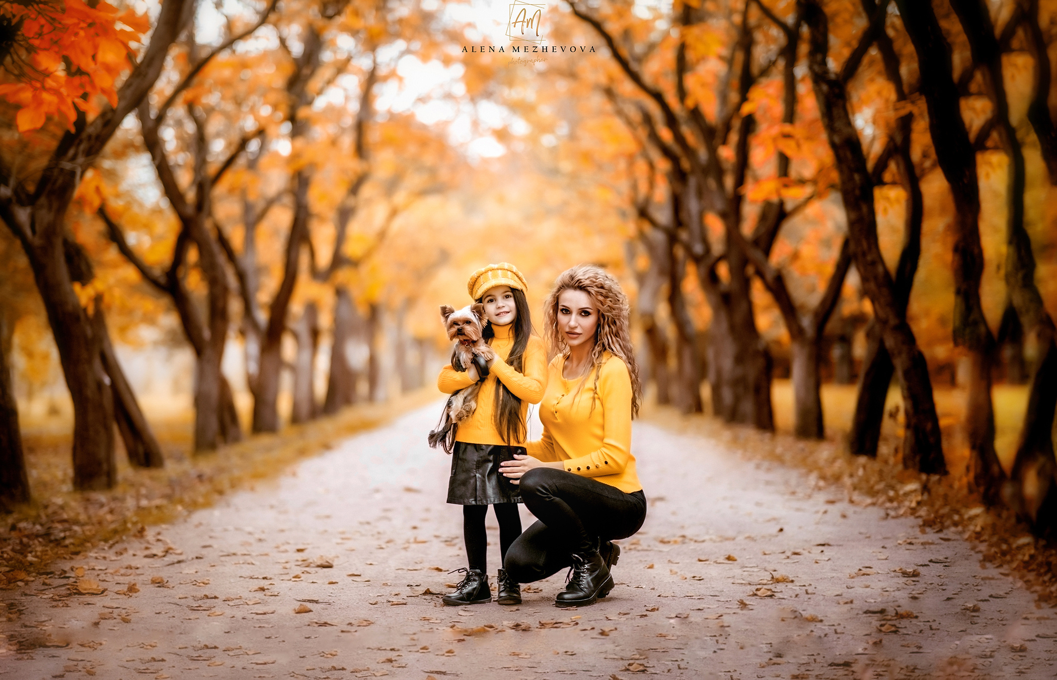 Осень. Свадебный и семейный фотограф и видеограф, Крым, Москва, Санкт -Петербург